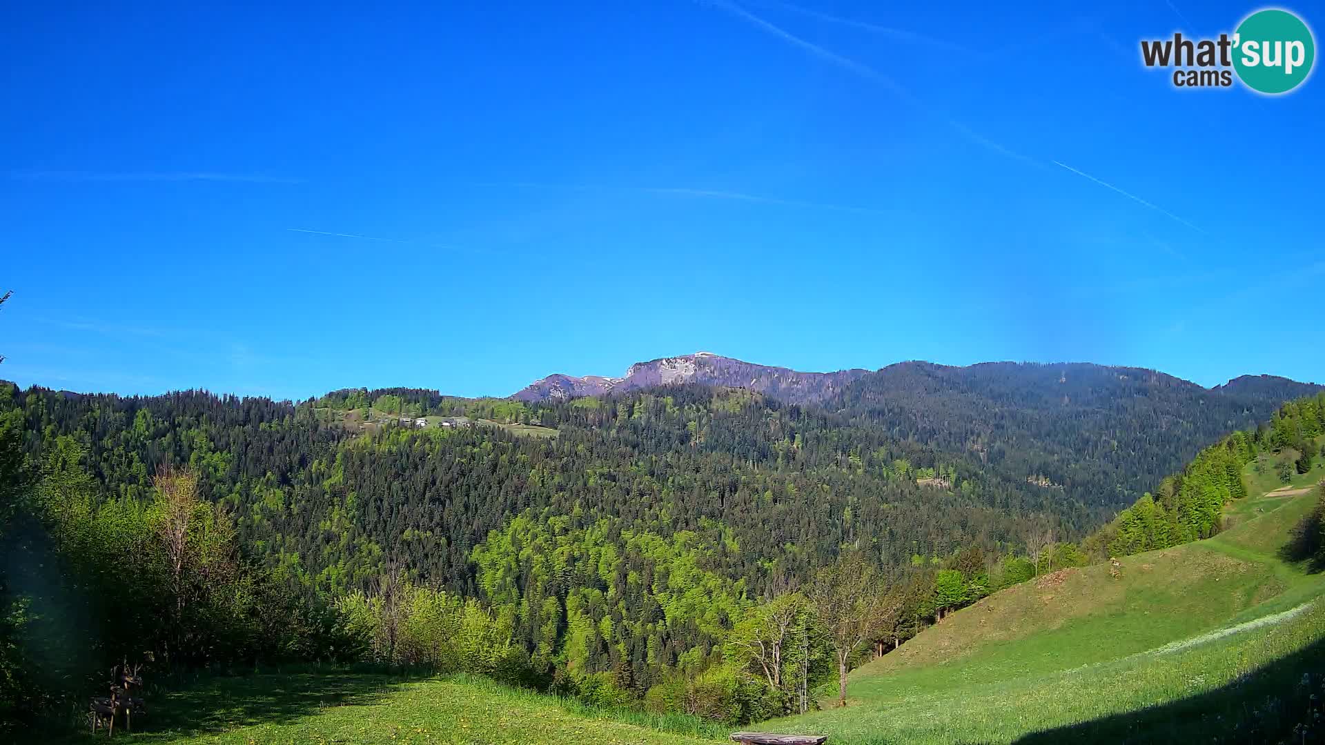 Webcam Brunarica Dražgoše – Live View of Ratitovec (1666 m)