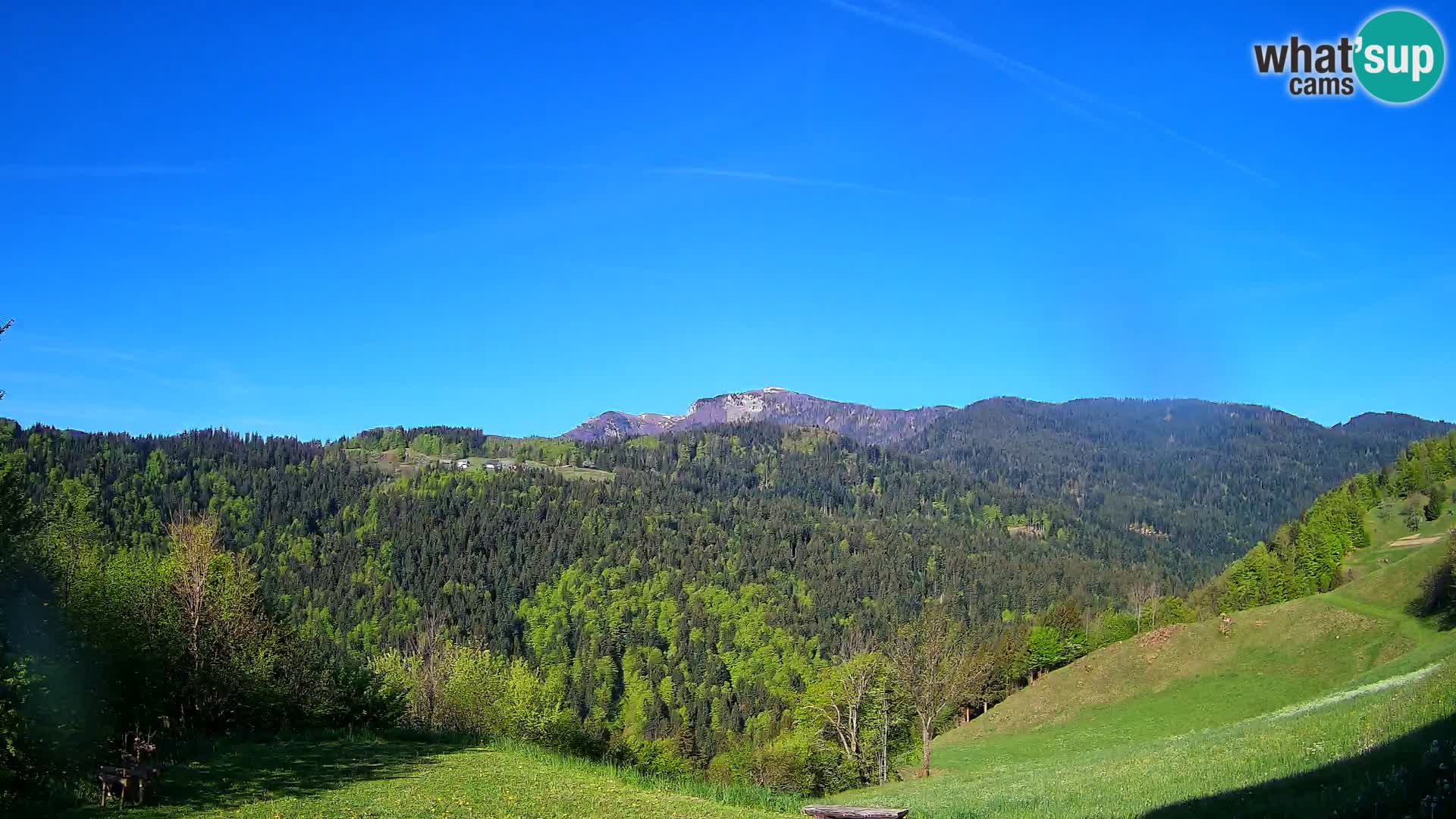 Webcam Brunarica Dražgoše – Liveblick auf Ratitovec (1666 m)