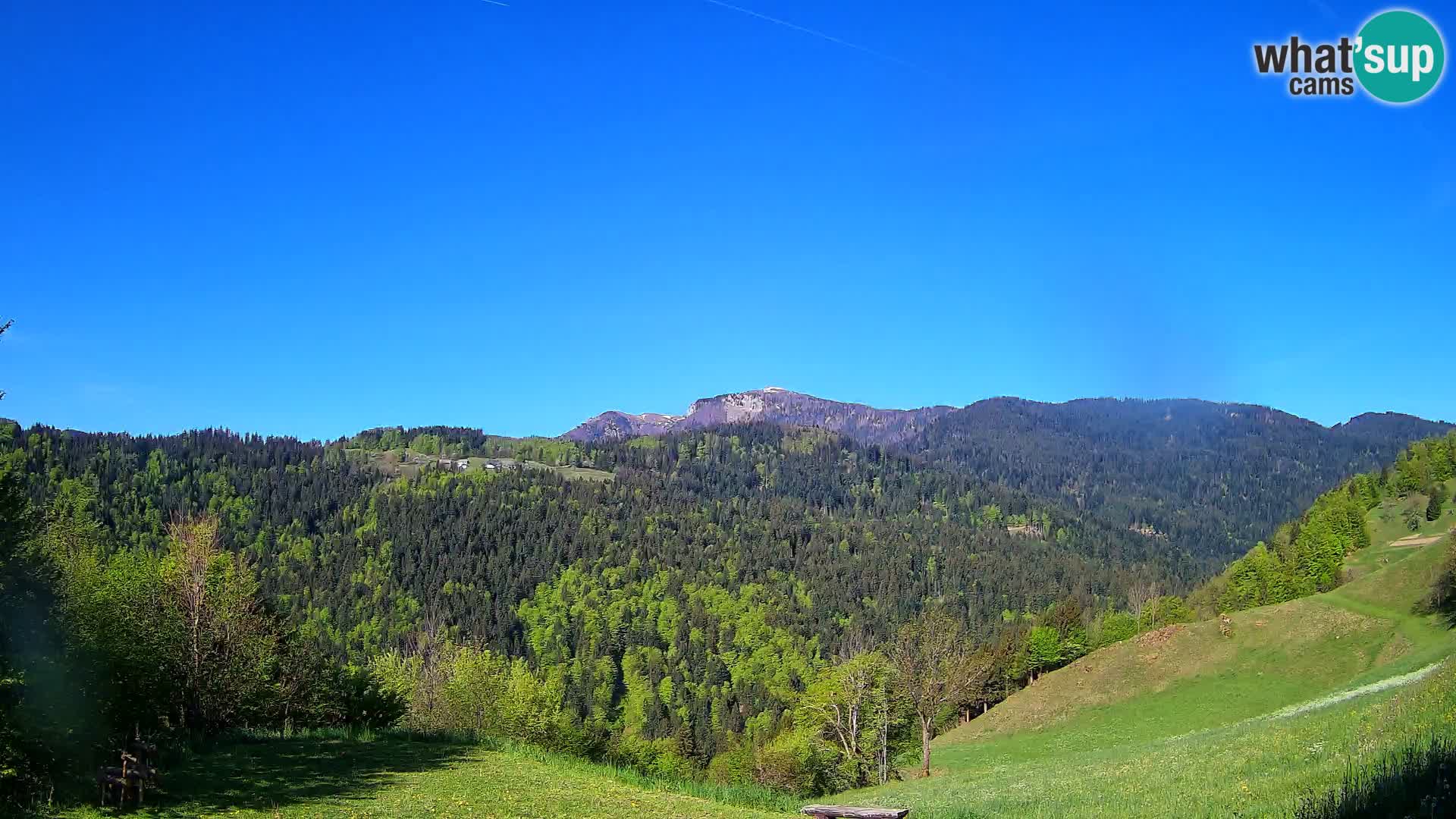 Webcam Brunarica Dražgoše – Vista live sul Ratitovec (1666 m)