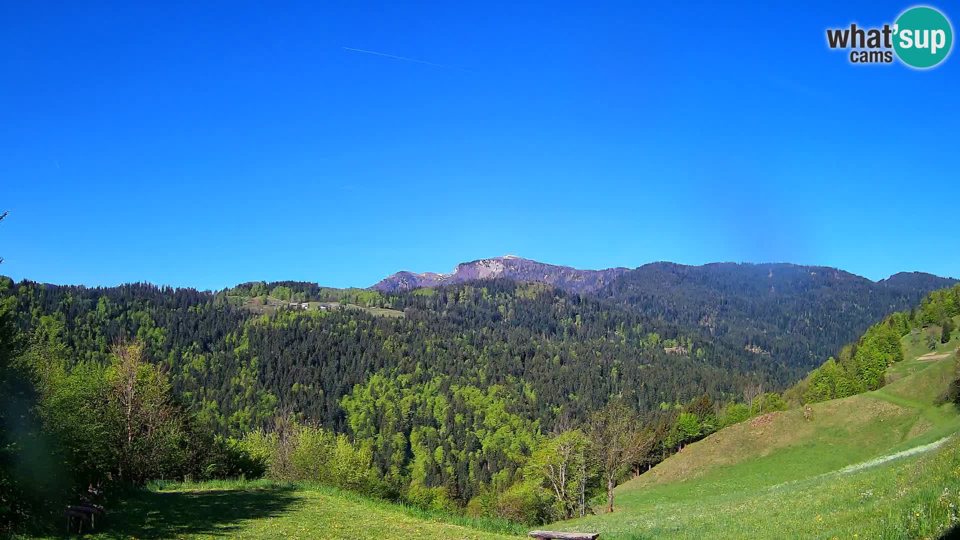 Webcam Brunarica Dražgoše – Live View of Ratitovec (1666 m)