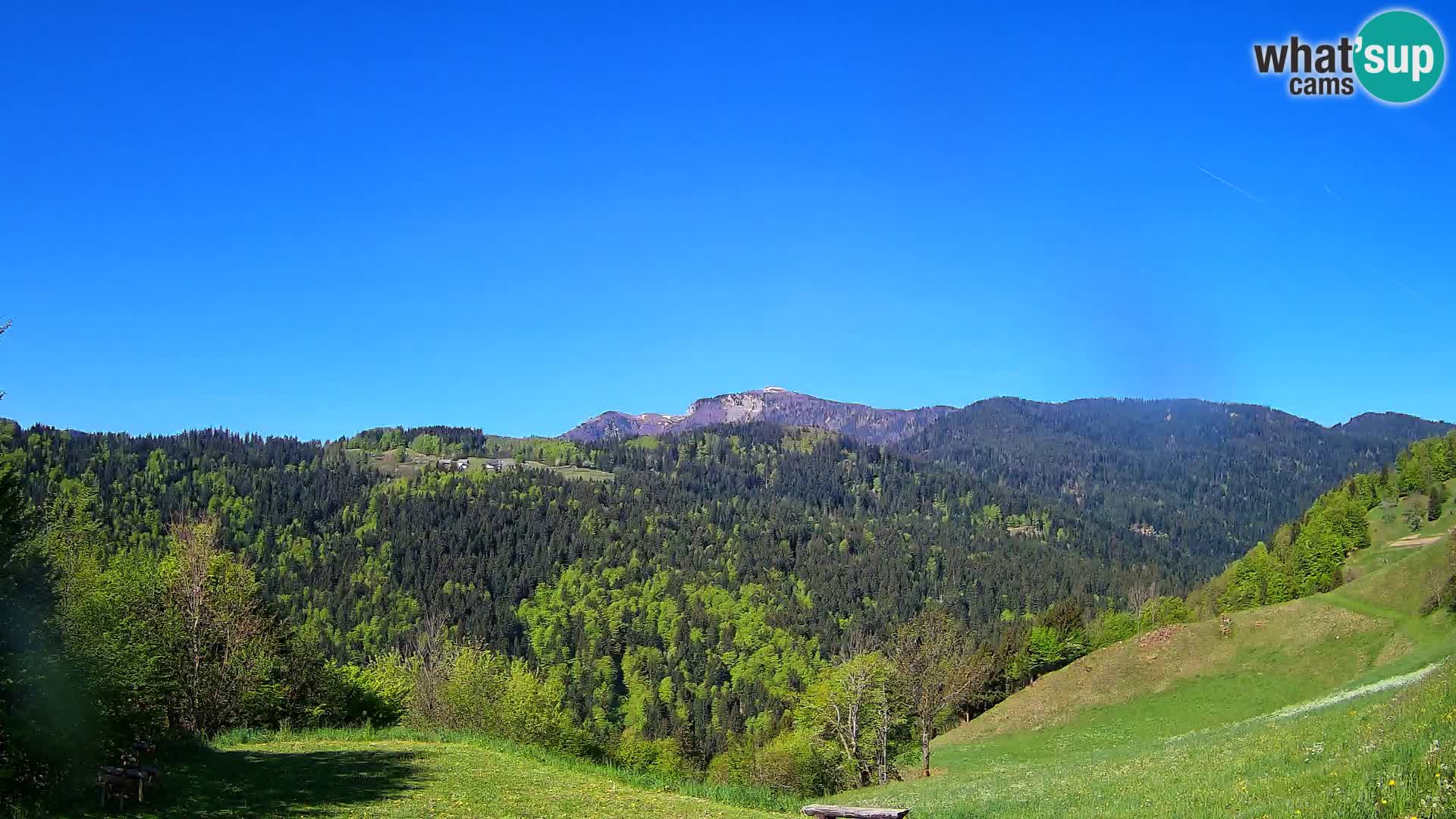 Webcam Brunarica Dražgoše – Live View of Ratitovec (1666 m)