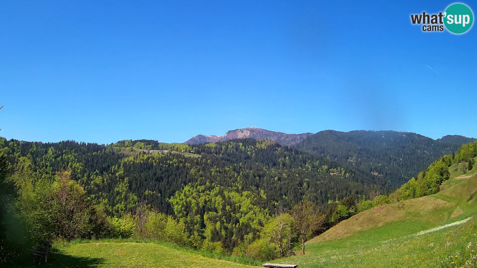 Webcam Brunarica Dražgoše – Vista live sul Ratitovec (1666 m)