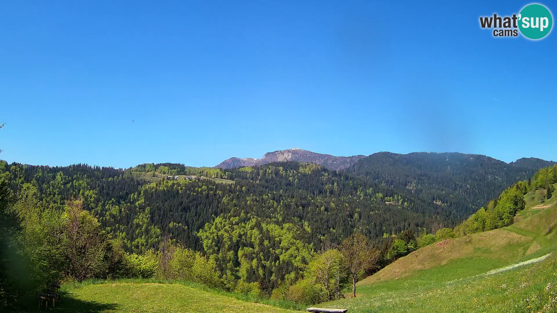 Webcam Brunarica Dražgoše – Live View of Ratitovec (1666 m)