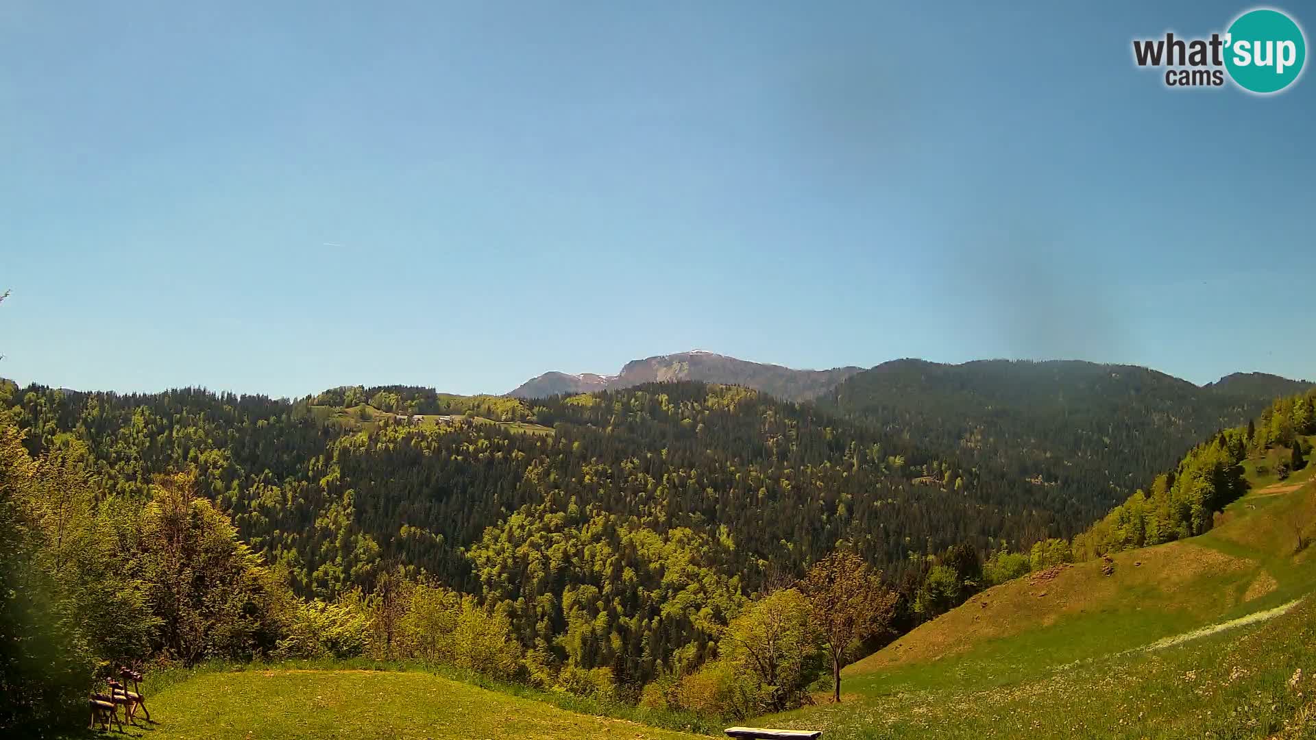 Webcam Brunarica Dražgoše – Live View of Ratitovec (1666 m)