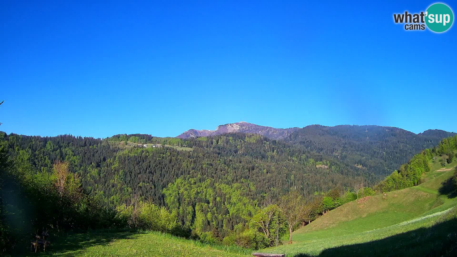 Webcam Brunarica Dražgoše – Live View of Ratitovec (1666 m)