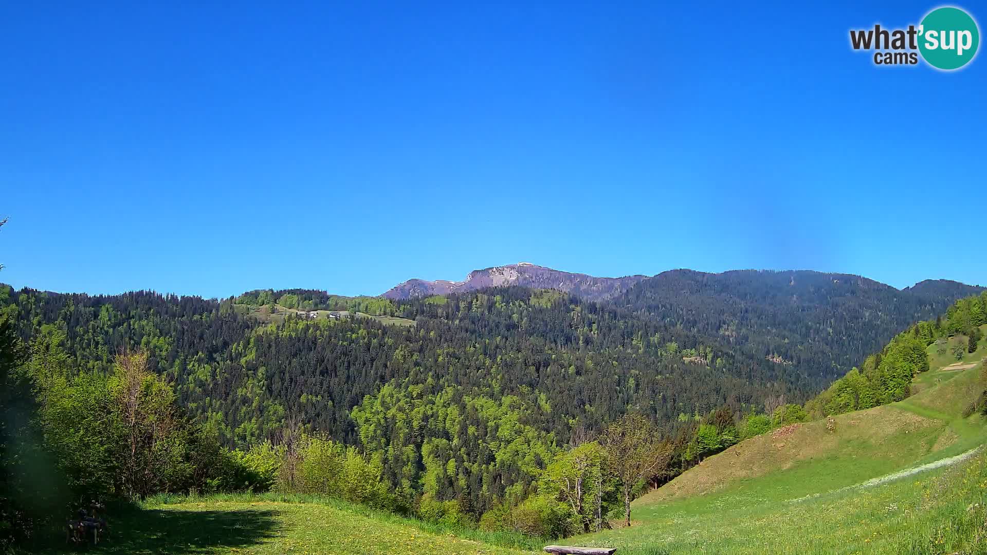 Webcam Brunarica Dražgoše – Vista live sul Ratitovec (1666 m)