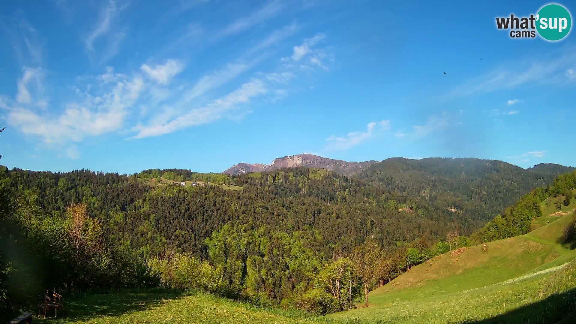 Webcam Brunarica Dražgoše – Live View of Ratitovec (1666 m)