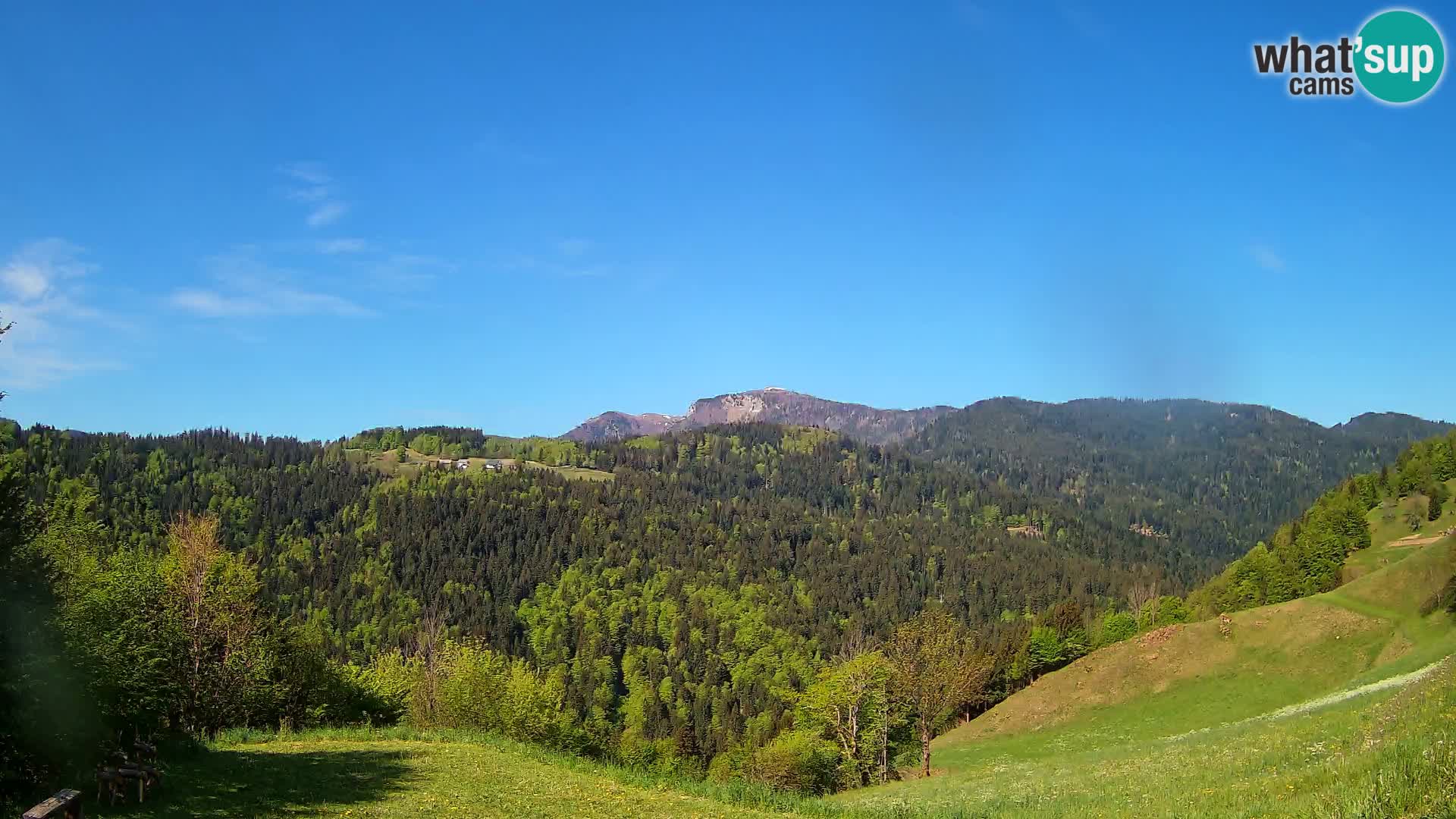 Webcam Brunarica Dražgoše – Liveblick auf Ratitovec (1666 m)
