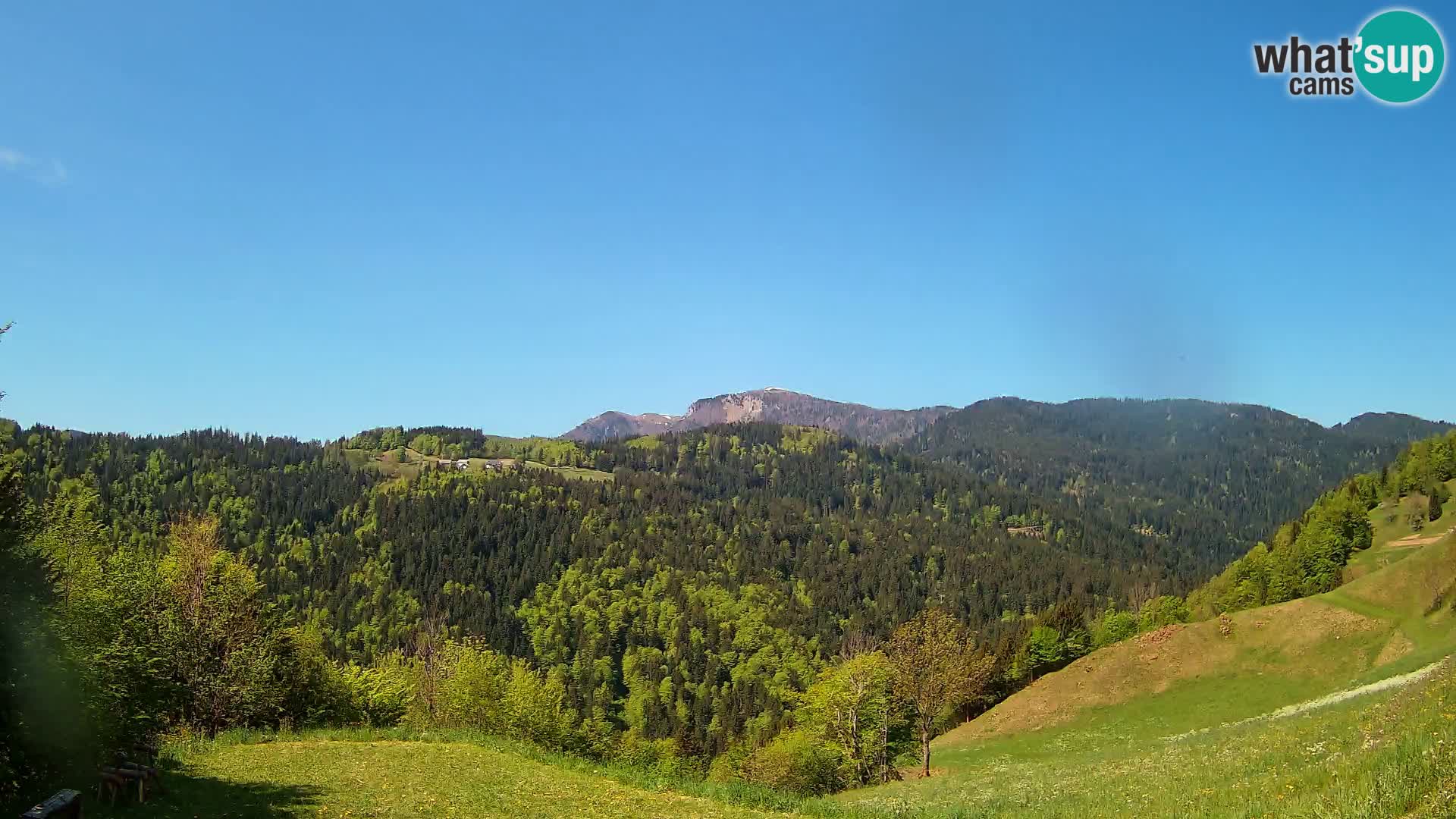 Webcam Brunarica Dražgoše – Live View of Ratitovec (1666 m)