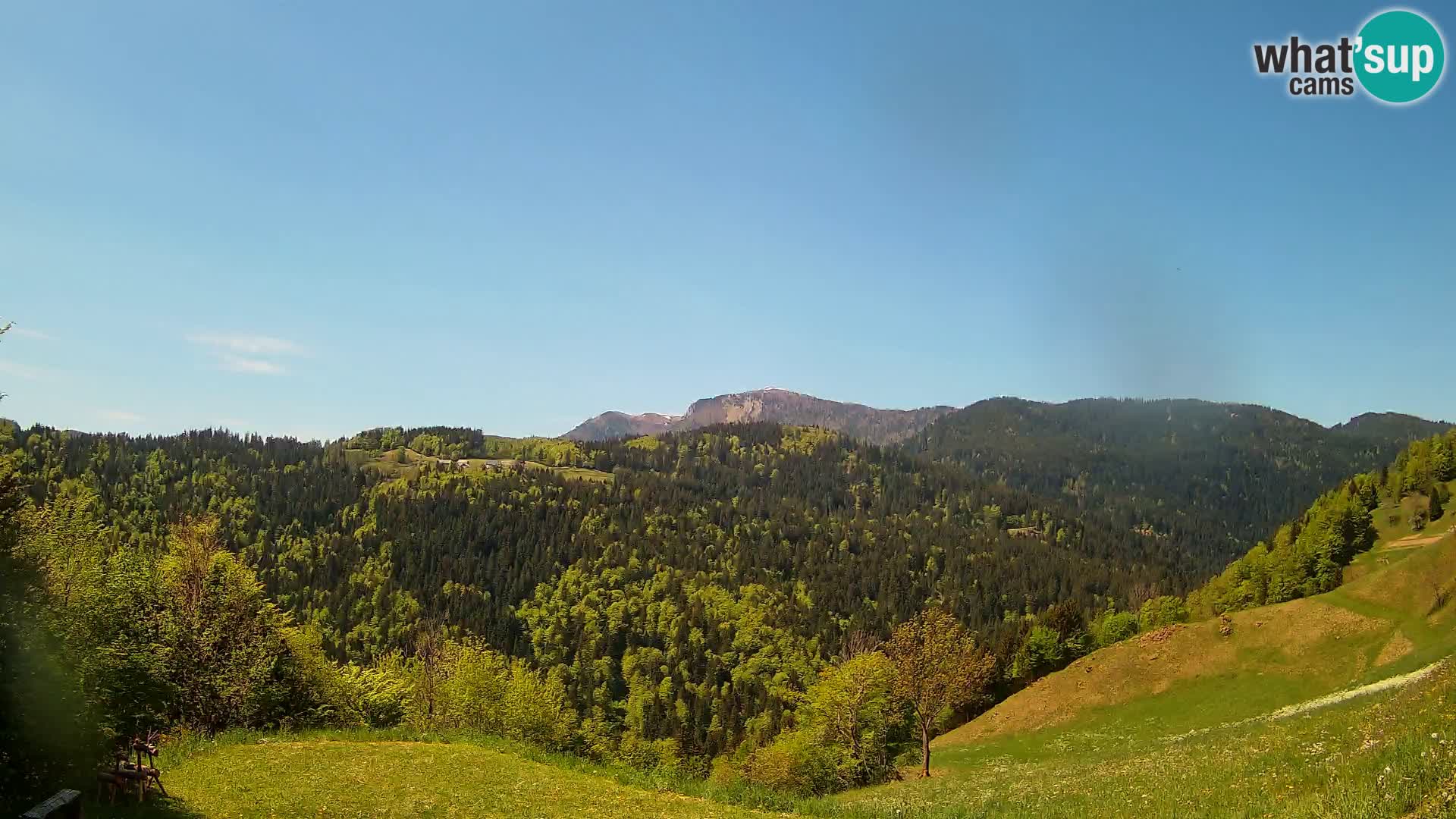 Webcam Brunarica Dražgoše – Live View of Ratitovec (1666 m)