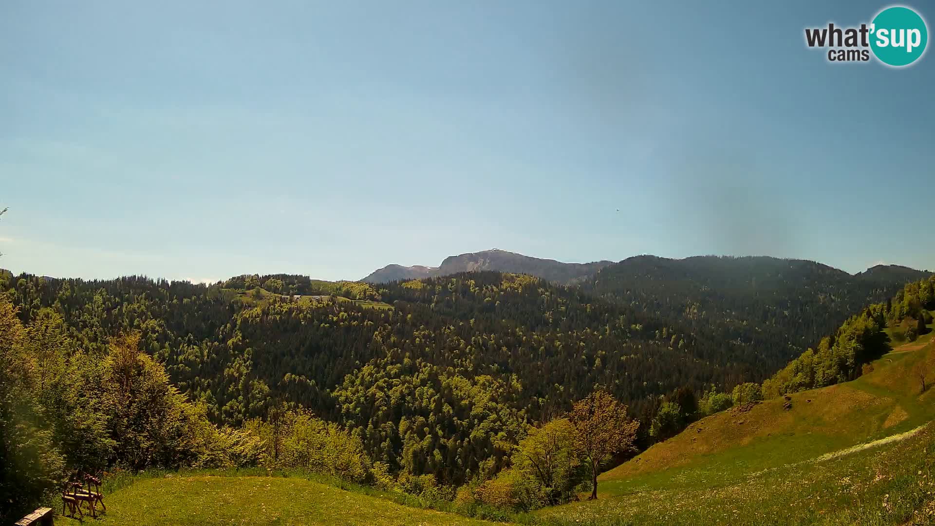 Webcam Brunarica Dražgoše – Live View of Ratitovec (1666 m)