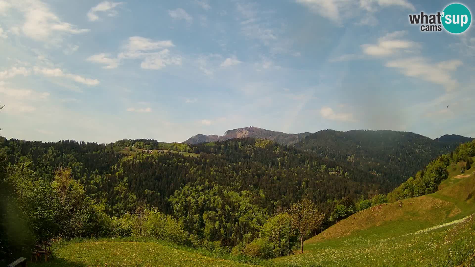Webcam Brunarica Dražgoše – Live View of Ratitovec (1666 m)