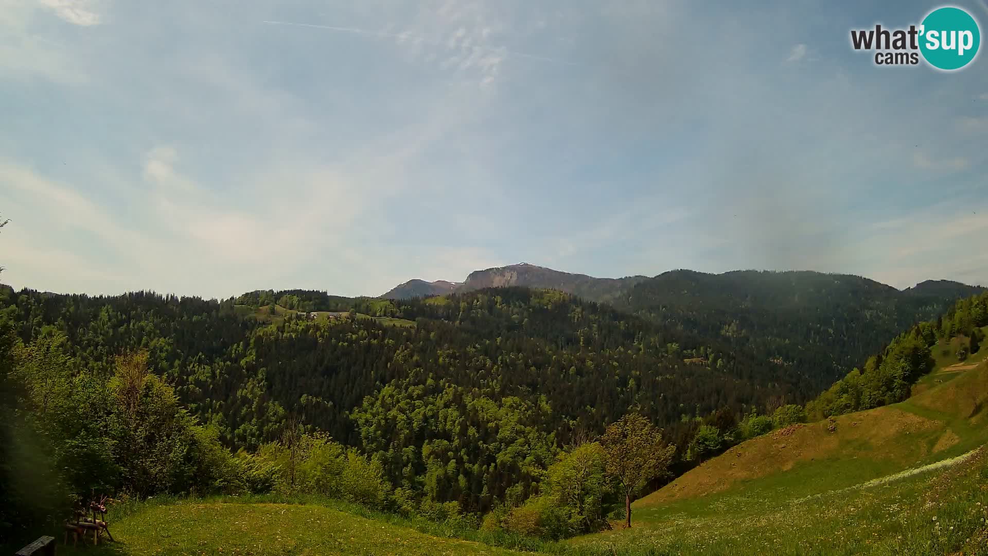 Spletna kamera Brunarica Dražgoše – Pogled v živo na Ratitovec (1666 m)