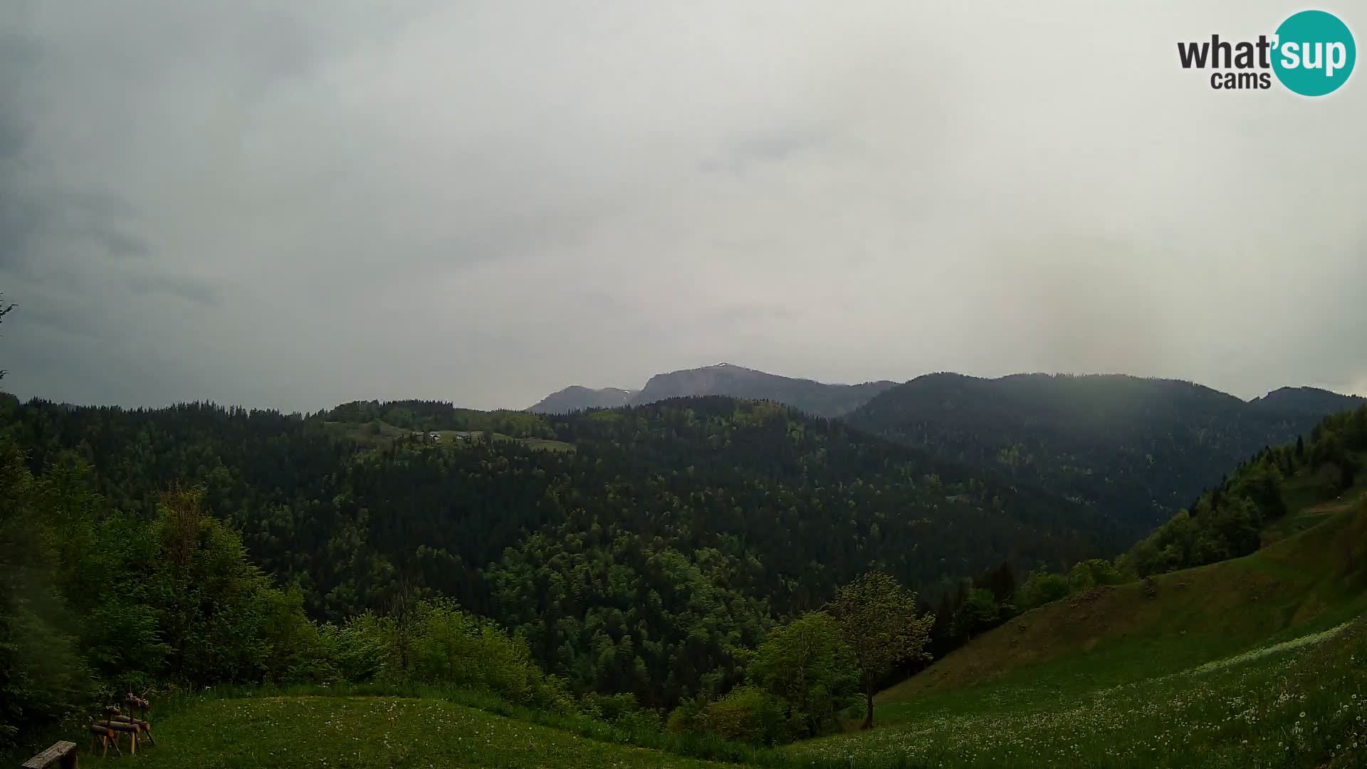 Webcam Brunarica Dražgoše – Live View of Ratitovec (1666 m)
