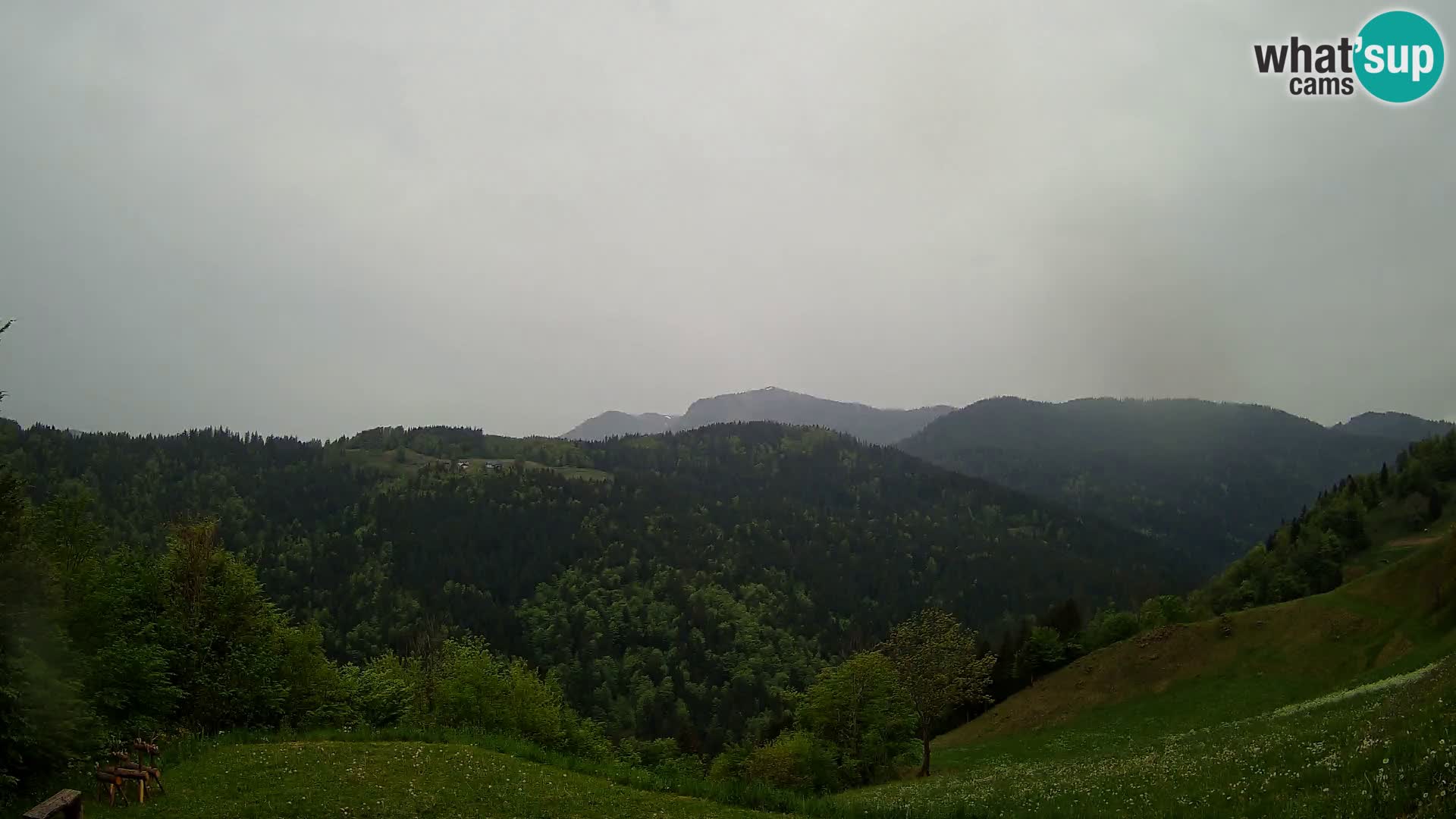 Webcam Brunarica Dražgoše – Live View of Ratitovec (1666 m)