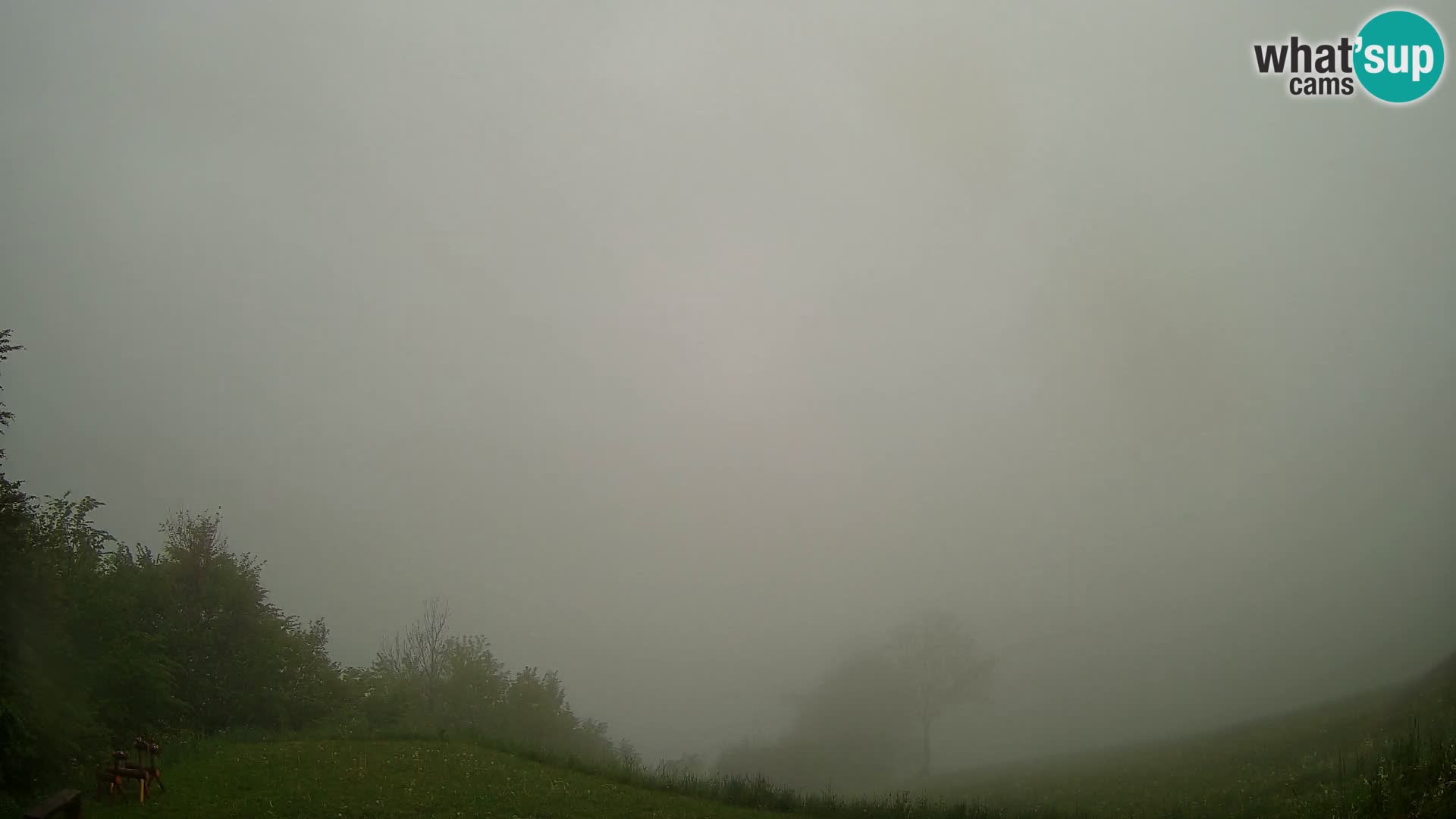 Webcam Brunarica Dražgoše – Live View of Ratitovec (1666 m)