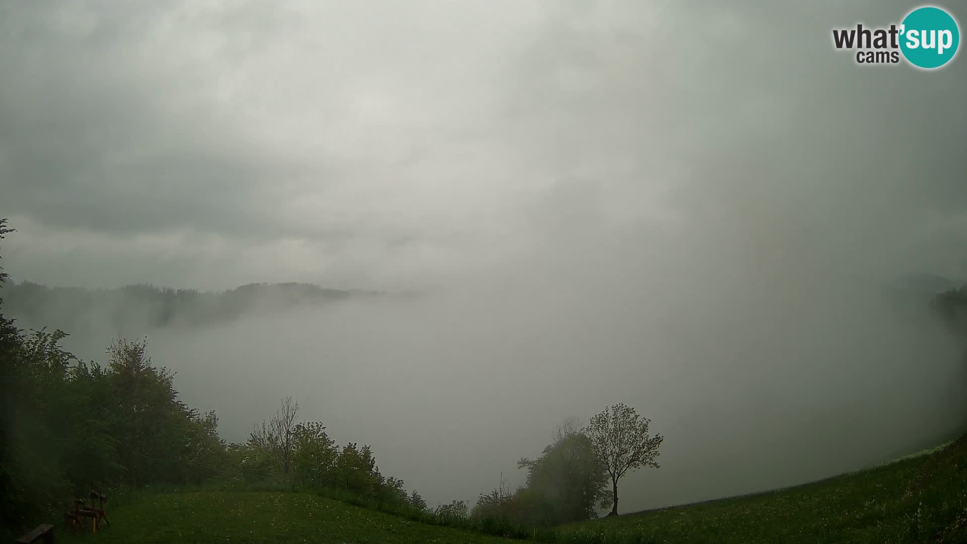 Webcam Brunarica Dražgoše – Live View of Ratitovec (1666 m)