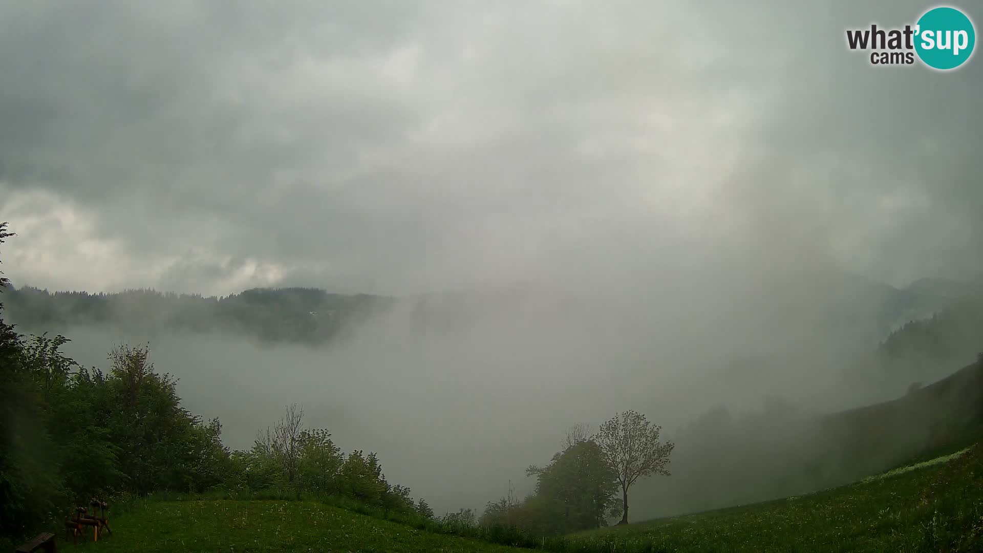 Web kamera Brunarica Dražgoše – Pogled uživo na Ratitovec (1666 m)