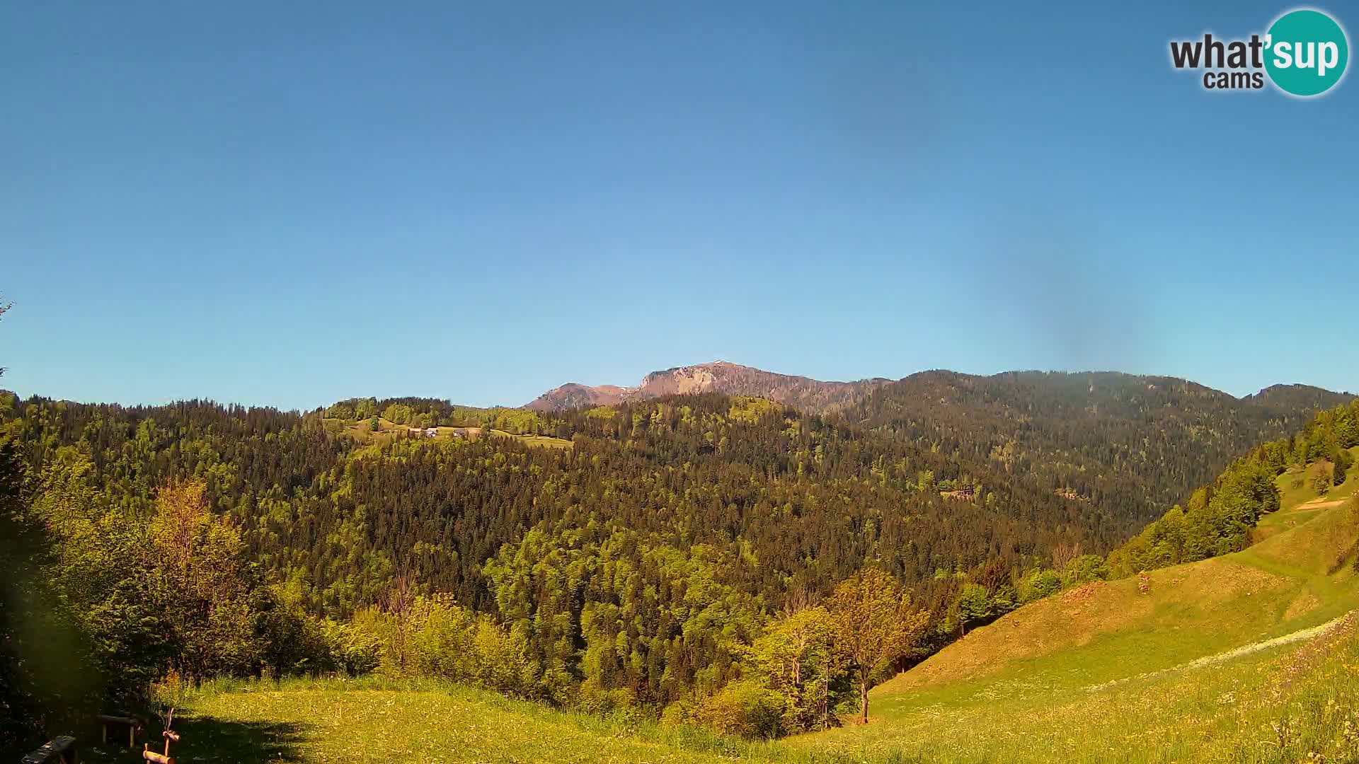 Webcam Brunarica Dražgoše – Live View of Ratitovec (1666 m)