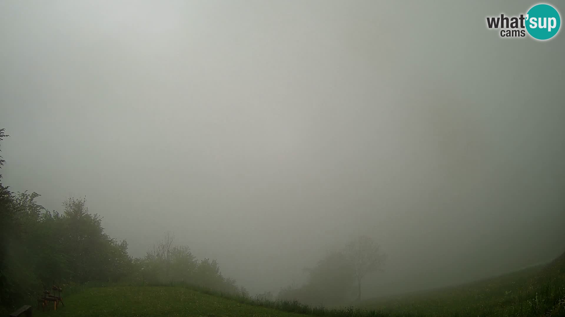 Webcam Brunarica Dražgoše – Live View of Ratitovec (1666 m)