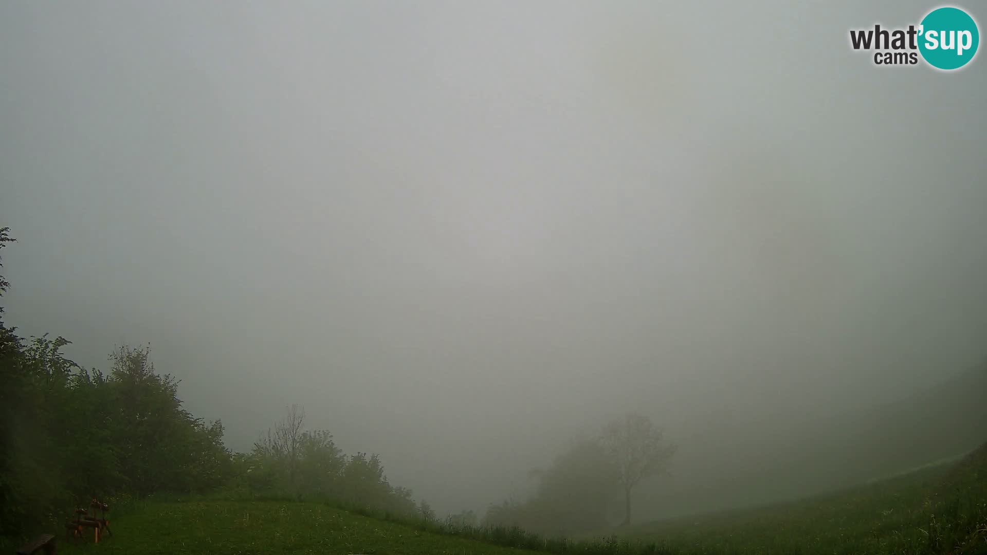 Webcam Brunarica Dražgoše – Live View of Ratitovec (1666 m)