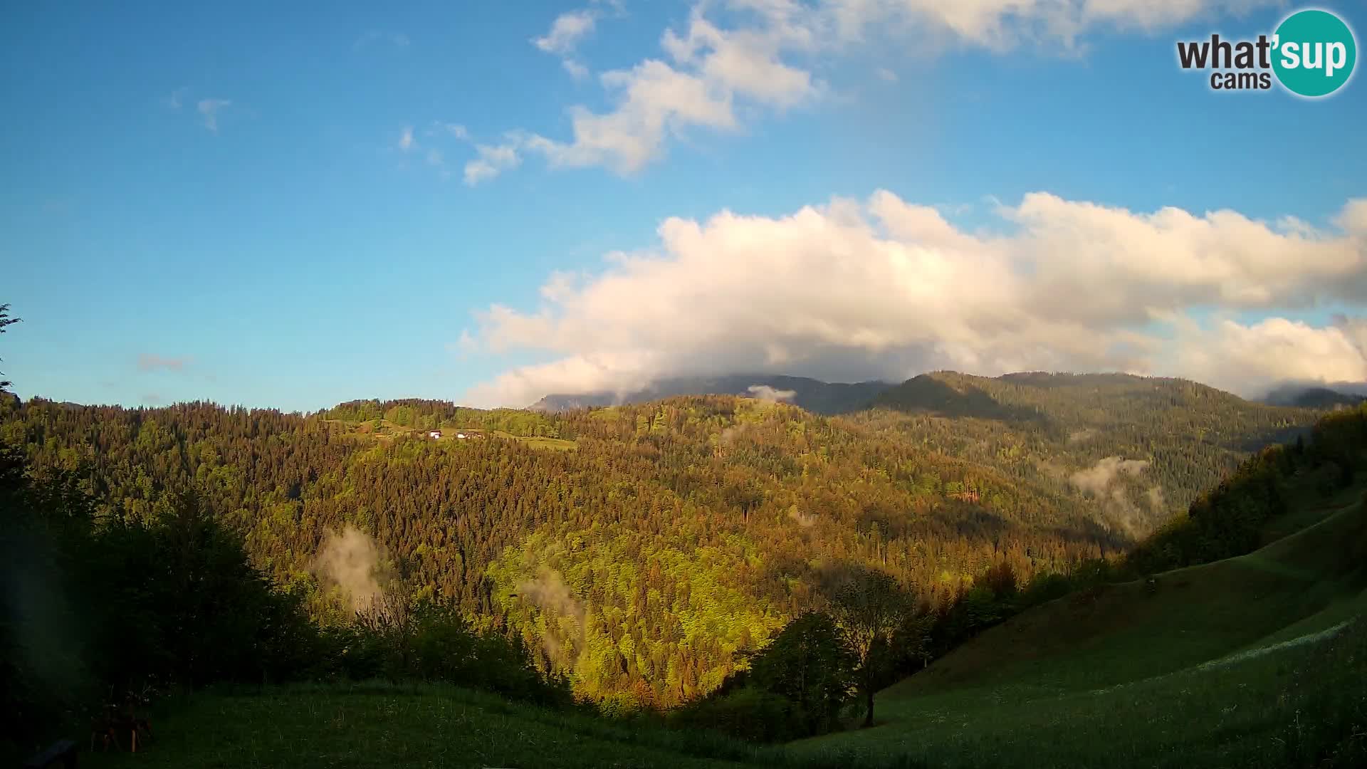 Webcam Brunarica Dražgoše – Live View of Ratitovec (1666 m)