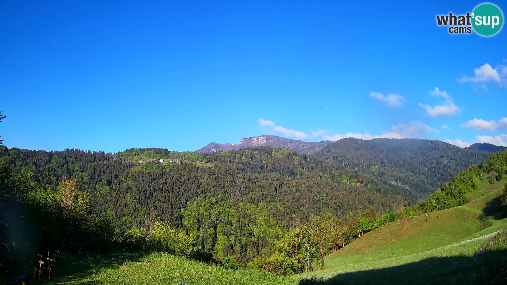 Webcam Brunarica Dražgoše – Live View of Ratitovec (1666 m)