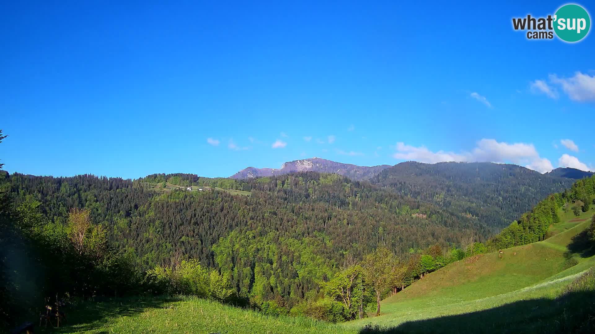 Webcam Brunarica Dražgoše – Live View of Ratitovec (1666 m)