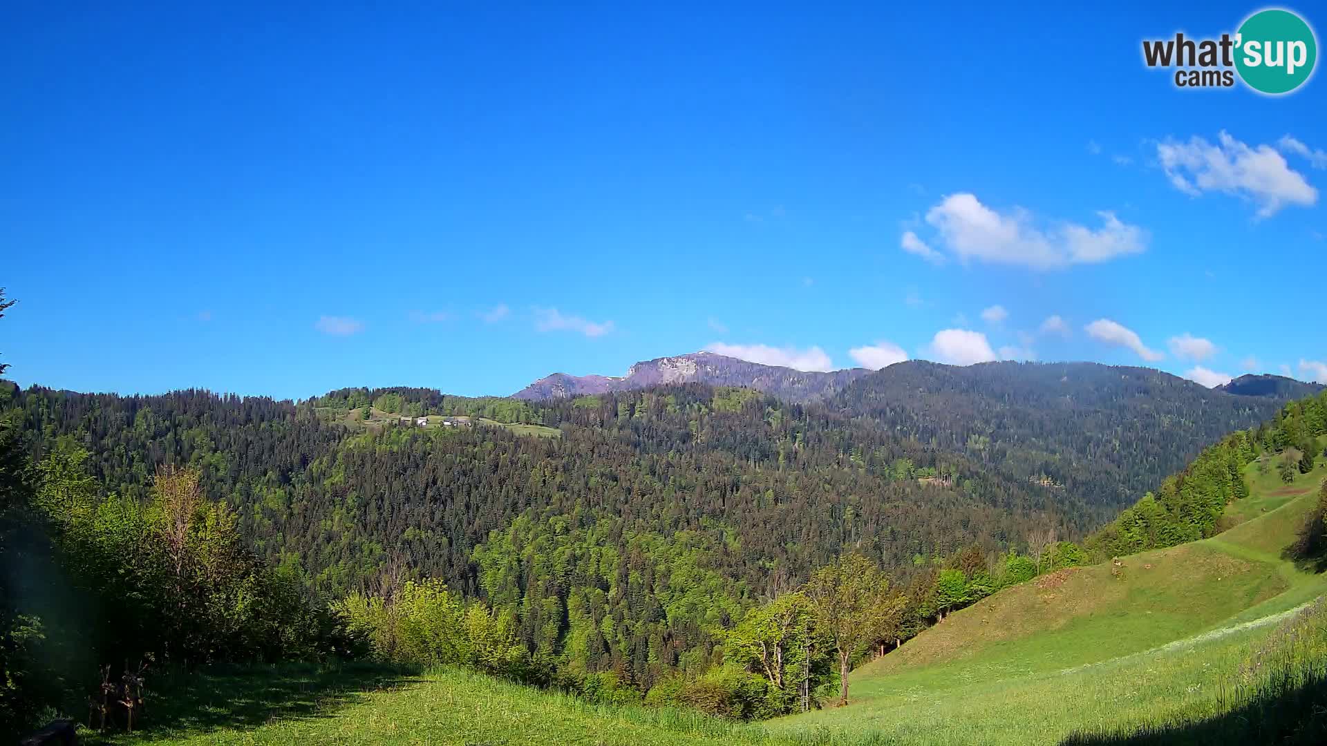 Webcam Brunarica Dražgoše – Live View of Ratitovec (1666 m)