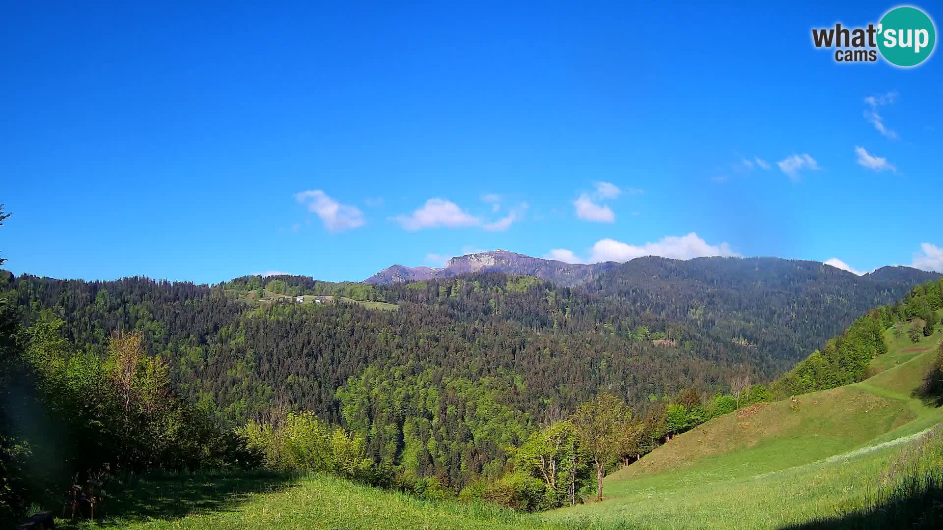 Webcam Brunarica Dražgoše – Vista live sul Ratitovec (1666 m)