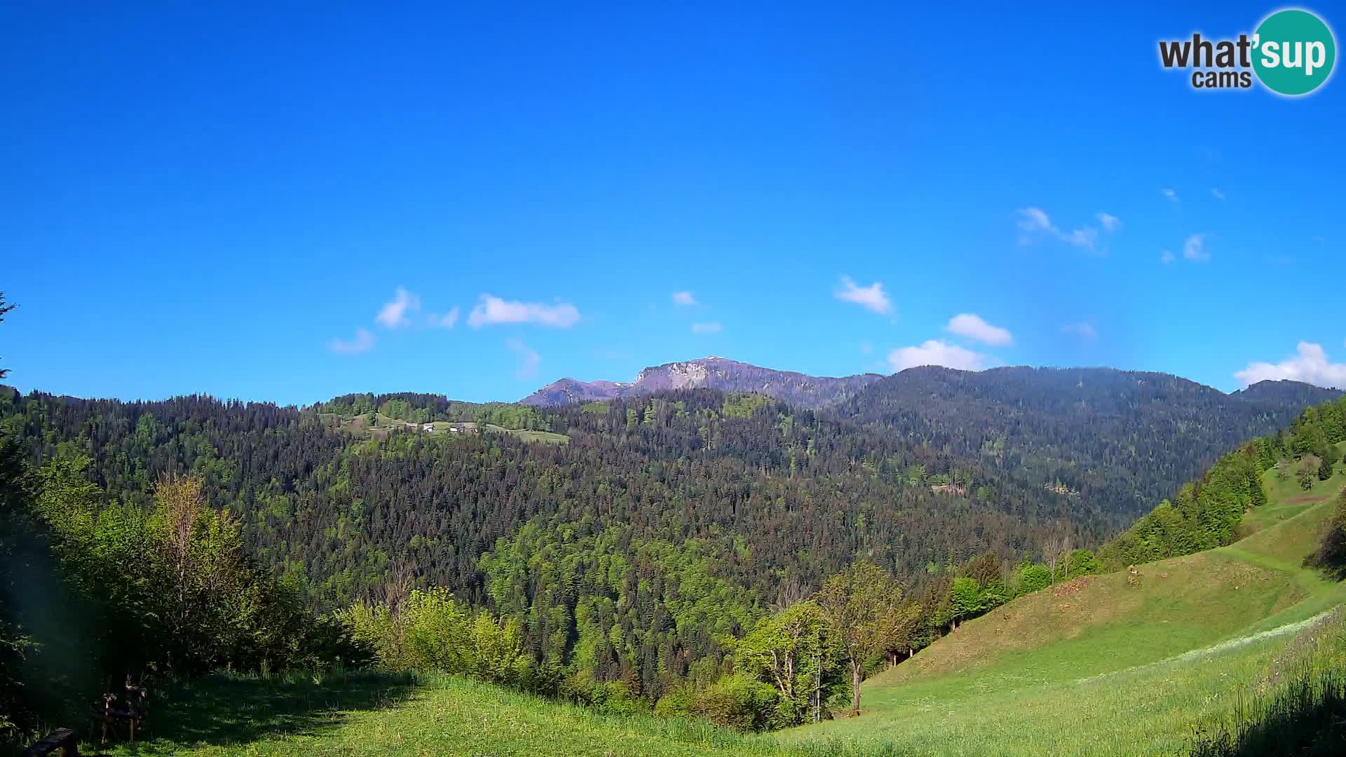 Webcam Brunarica Dražgoše – Live View of Ratitovec (1666 m)