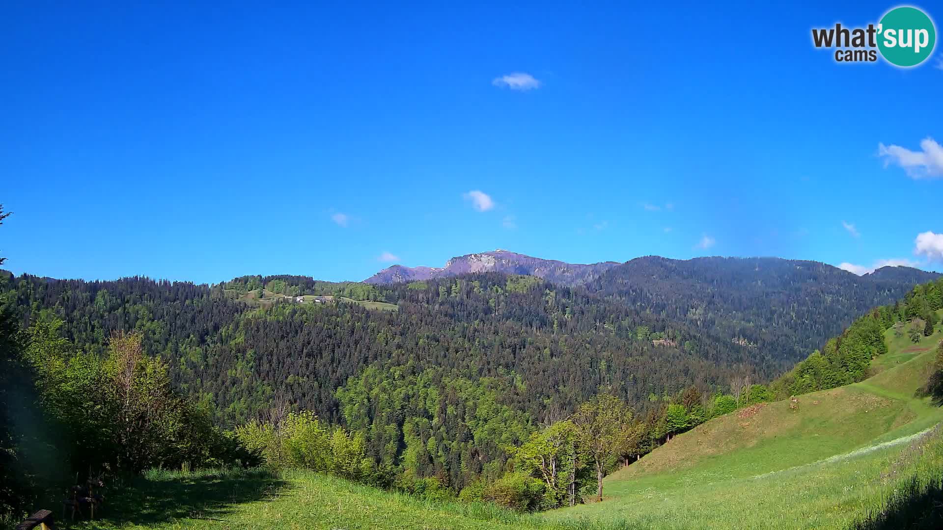 Webcam Brunarica Dražgoše – Live View of Ratitovec (1666 m)