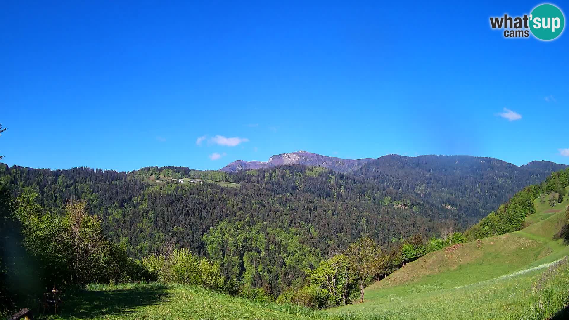 Webcam Brunarica Dražgoše – Vista live sul Ratitovec (1666 m)