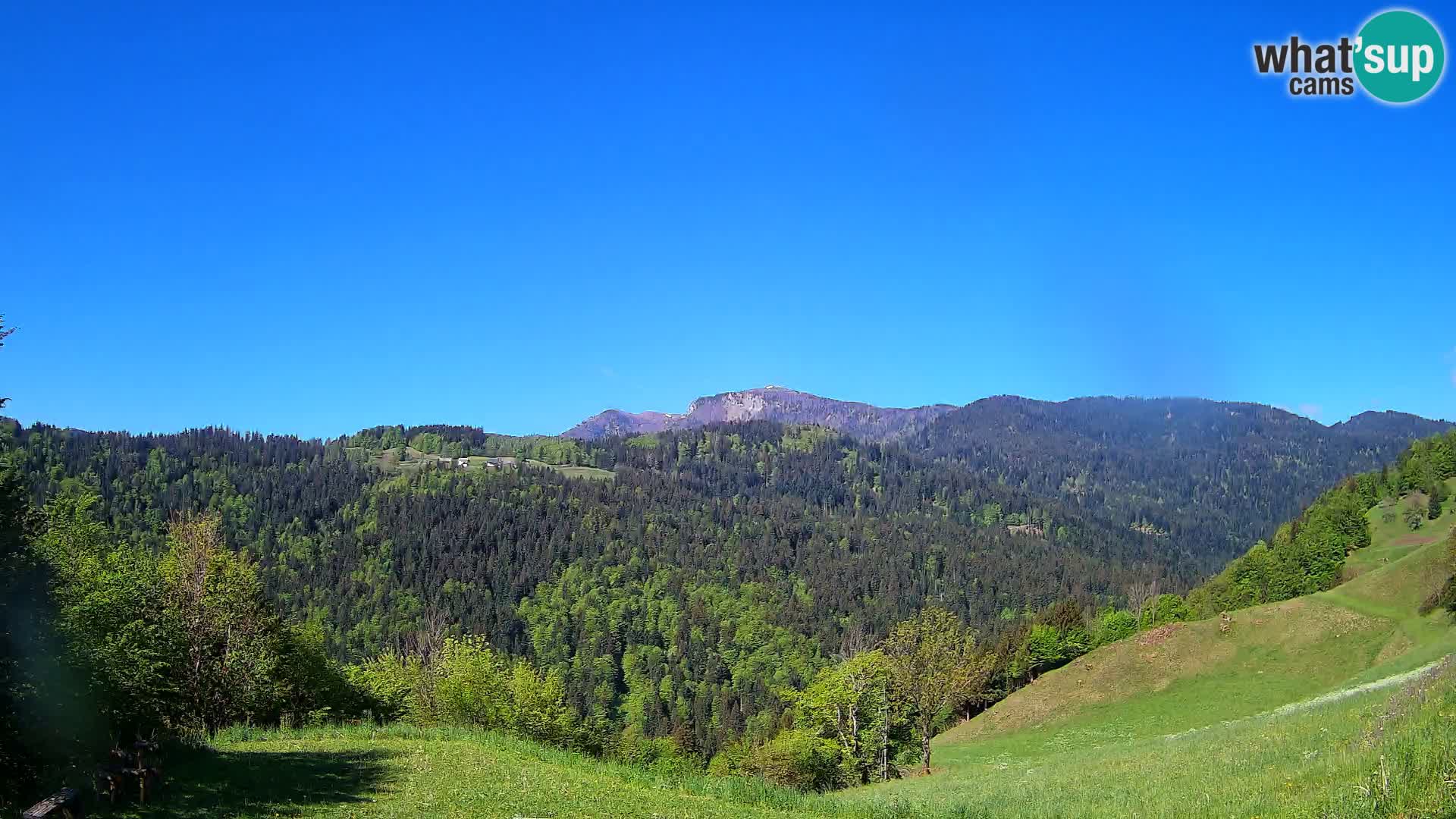 Spletna kamera Brunarica Dražgoše – Pogled v živo na Ratitovec (1666 m)