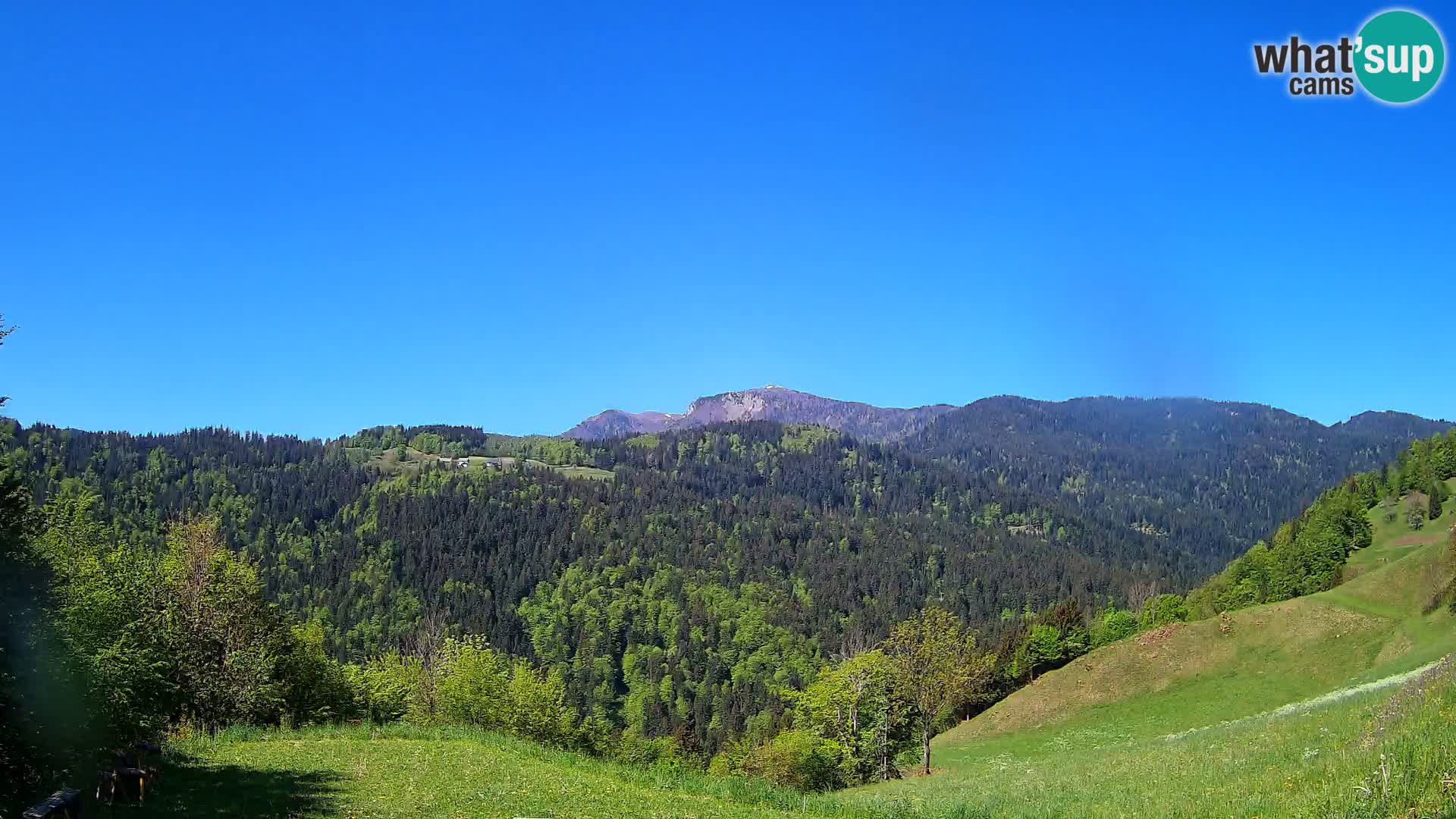 Web kamera Brunarica Dražgoše – Pogled uživo na Ratitovec (1666 m)
