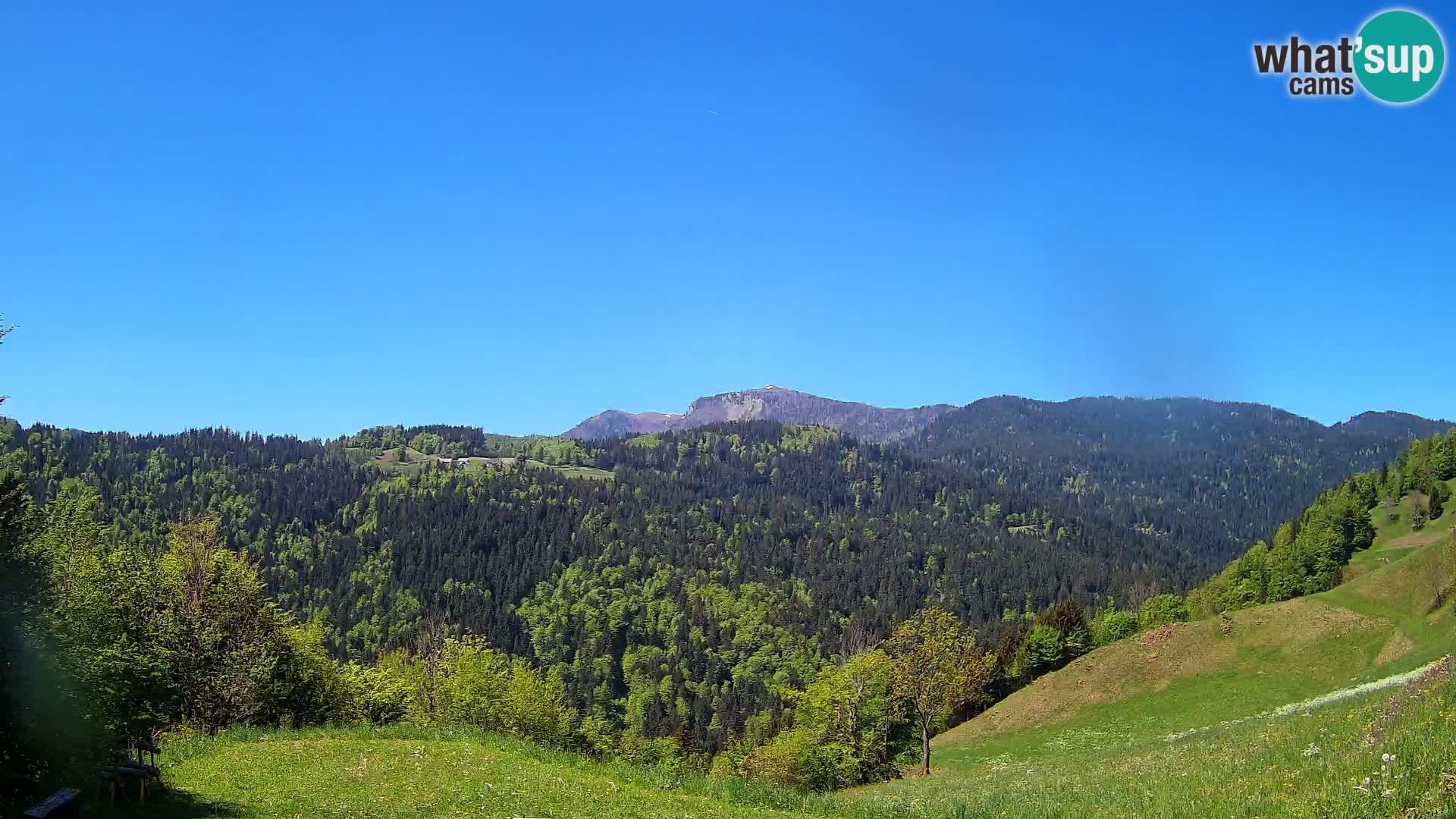 Webcam Brunarica Dražgoše – Live View of Ratitovec (1666 m)