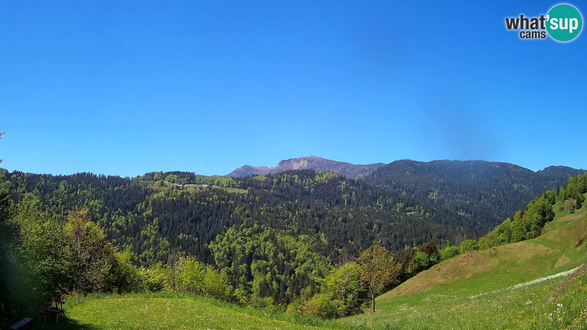 Spletna kamera Brunarica Dražgoše – Pogled v živo na Ratitovec (1666 m)