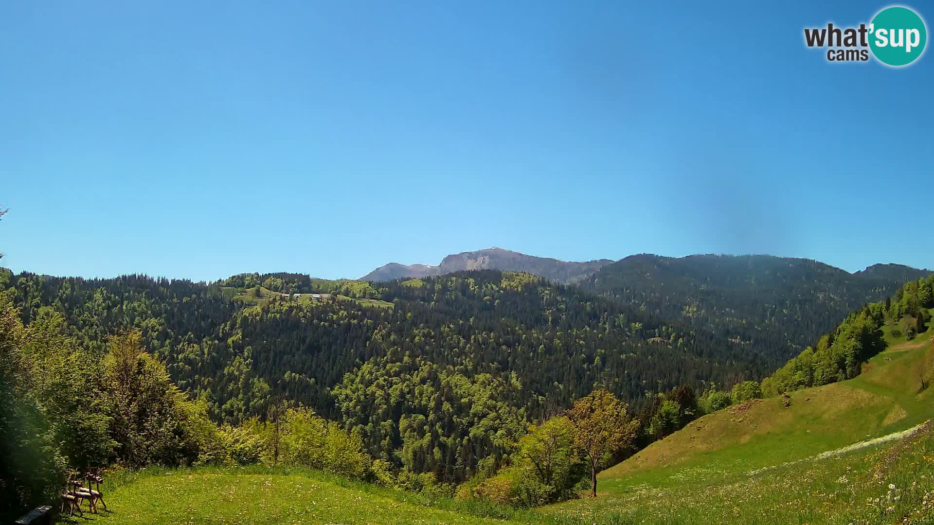 Webcam Brunarica Dražgoše – Live View of Ratitovec (1666 m)