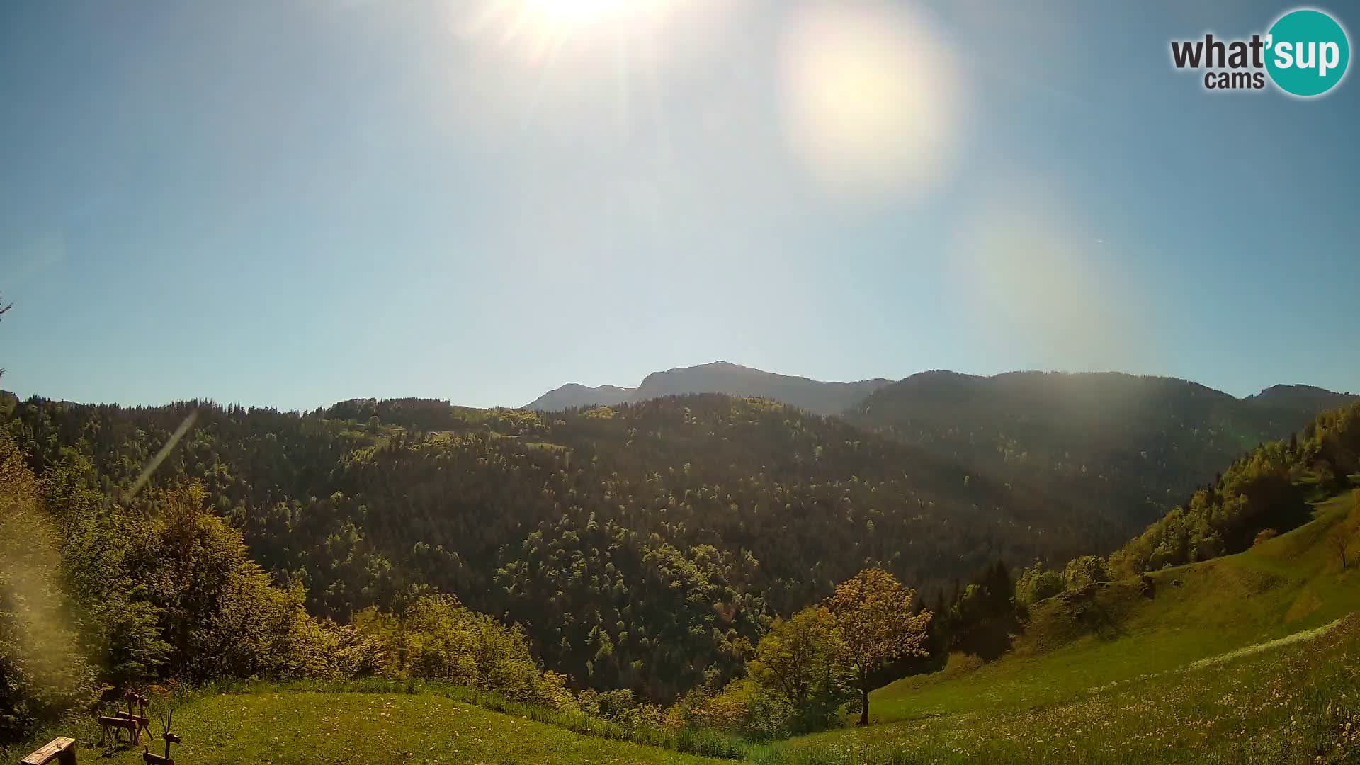 Webcam Brunarica Dražgoše – Live View of Ratitovec (1666 m)