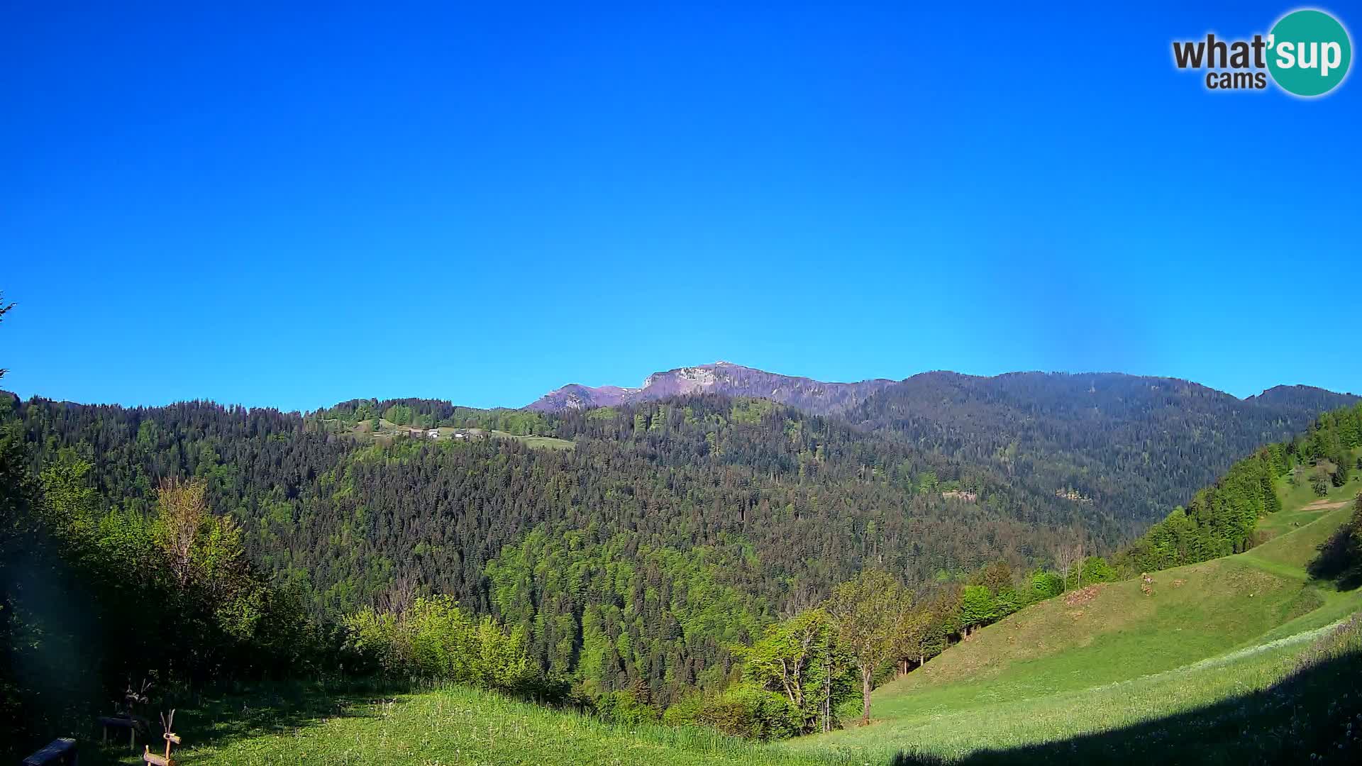 Webcam Brunarica Dražgoše – Live View of Ratitovec (1666 m)