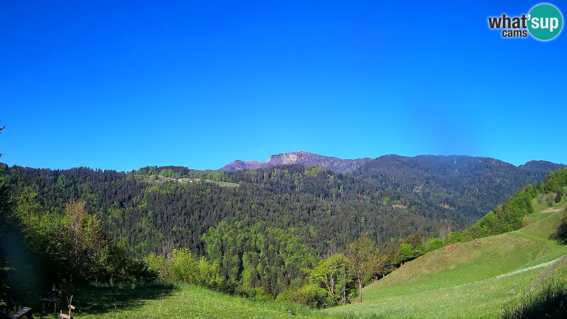 Web kamera Brunarica Dražgoše – Pogled uživo na Ratitovec (1666 m)