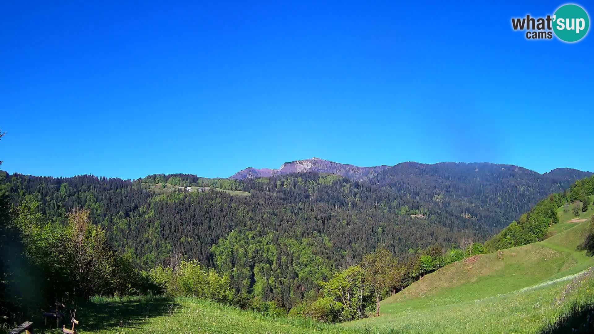 Webcam Brunarica Dražgoše – Liveblick auf Ratitovec (1666 m)