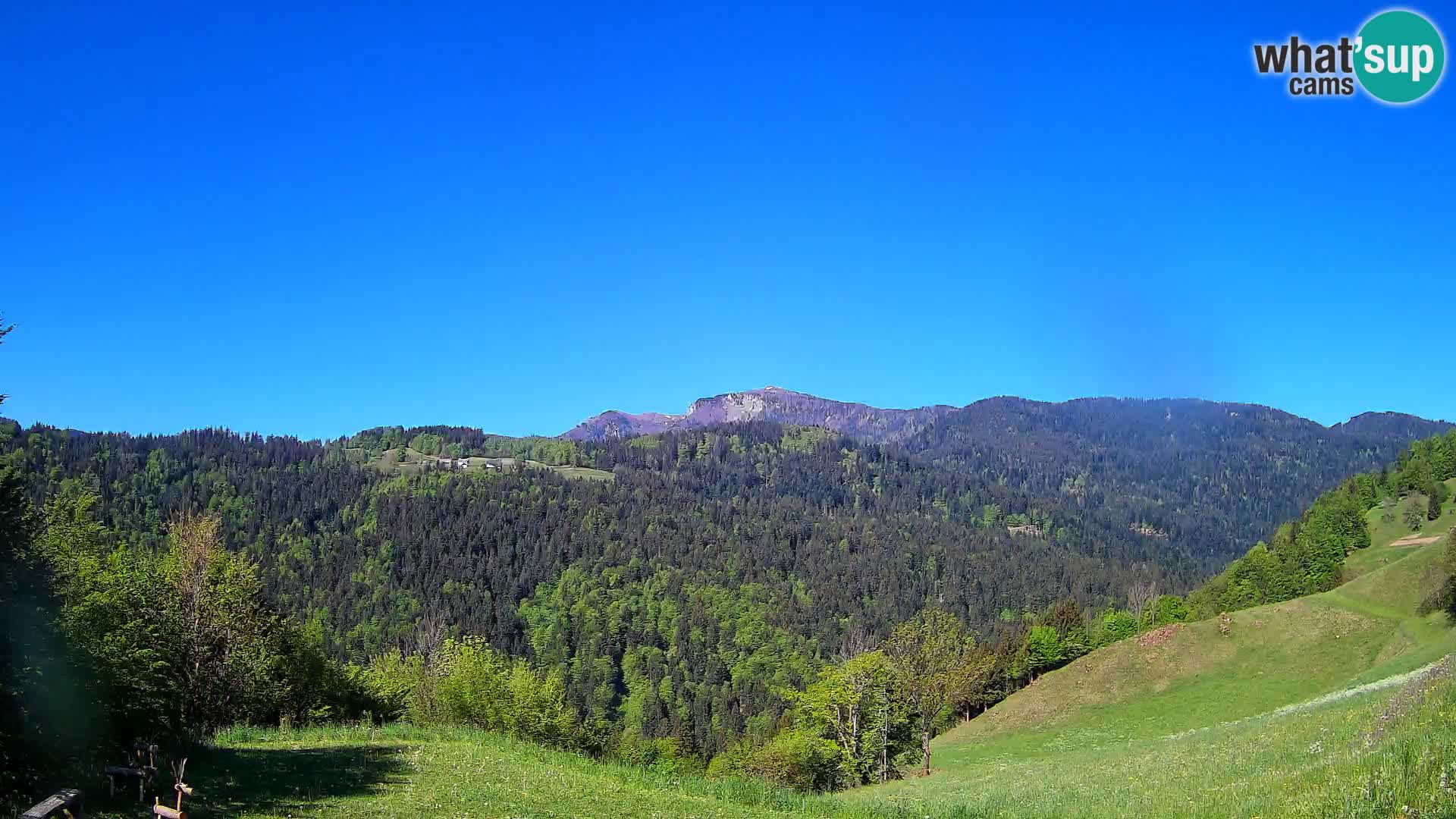 Spletna kamera Brunarica Dražgoše – Pogled v živo na Ratitovec (1666 m)