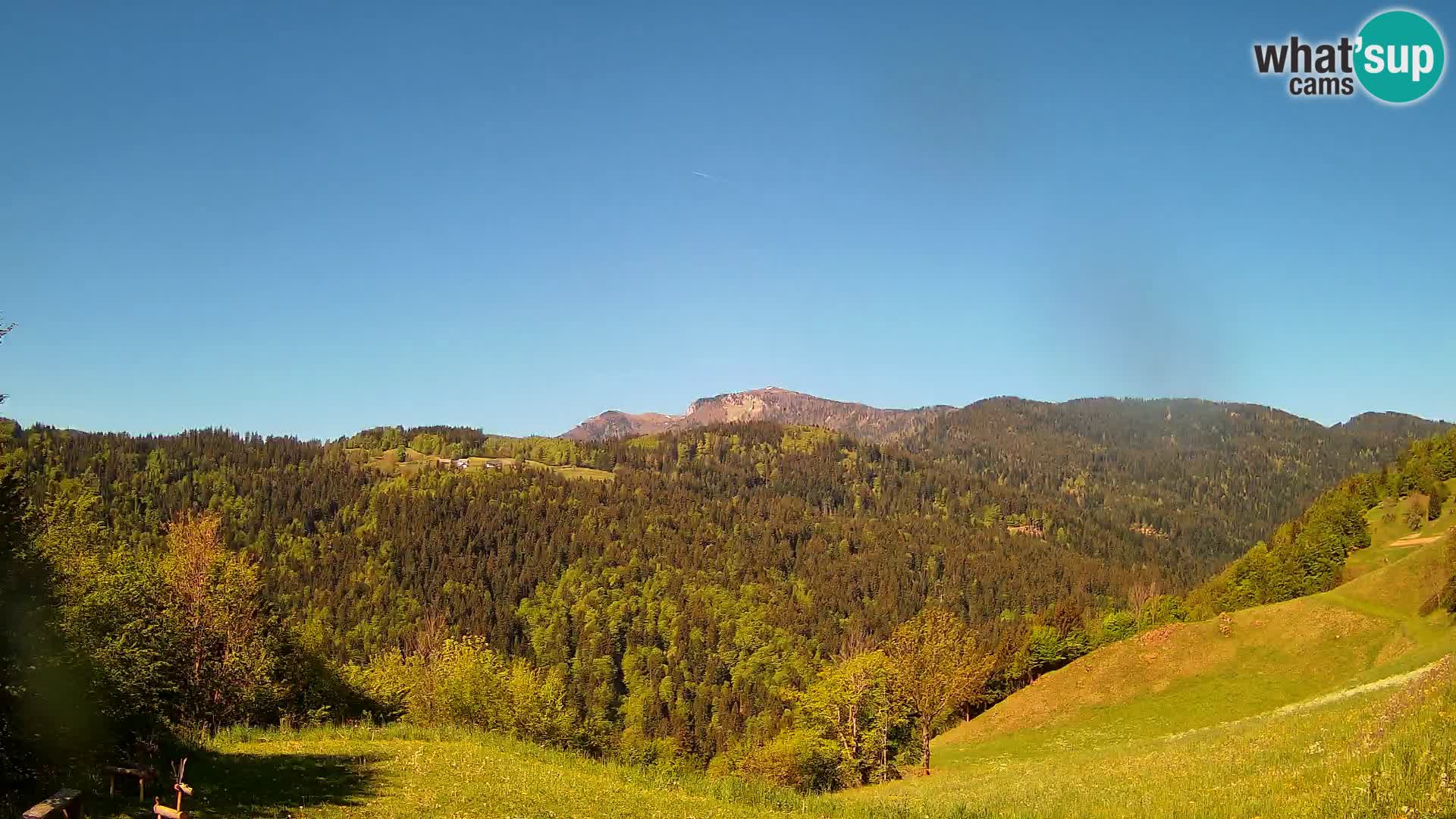 Webcam Brunarica Dražgoše – Live View of Ratitovec (1666 m)