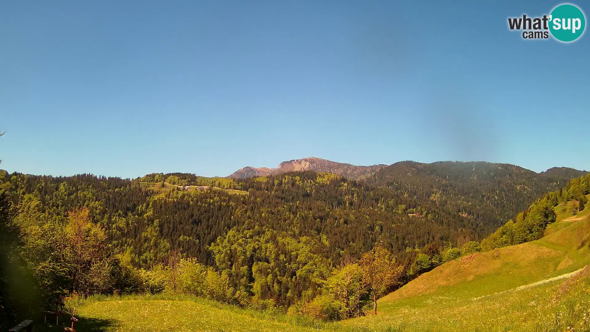 Webcam Brunarica Dražgoše – Vista live sul Ratitovec (1666 m)