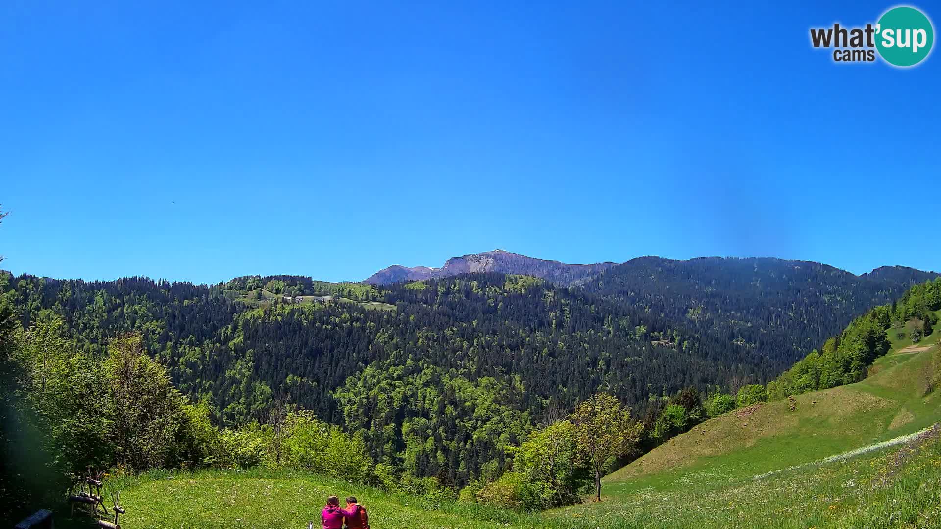 Webcam Brunarica Dražgoše – Live View of Ratitovec (1666 m)