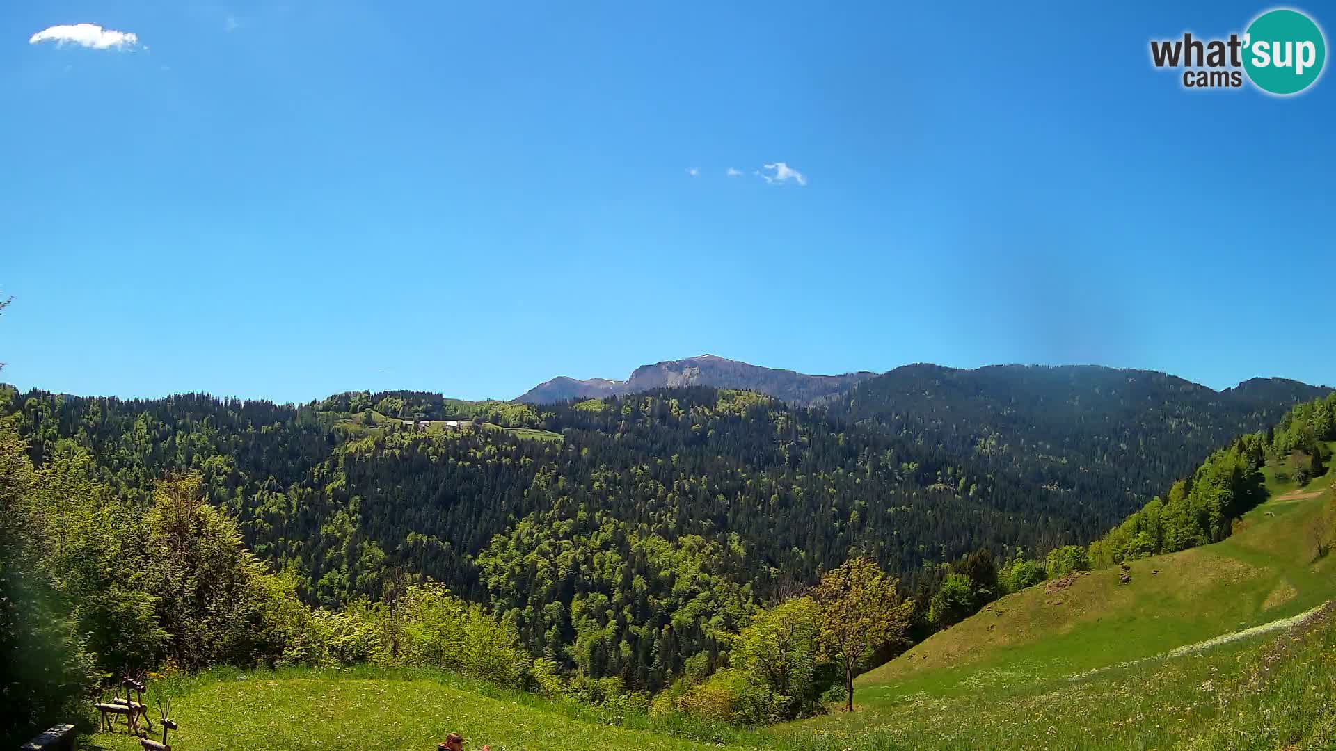 Web kamera Brunarica Dražgoše – Pogled uživo na Ratitovec (1666 m)