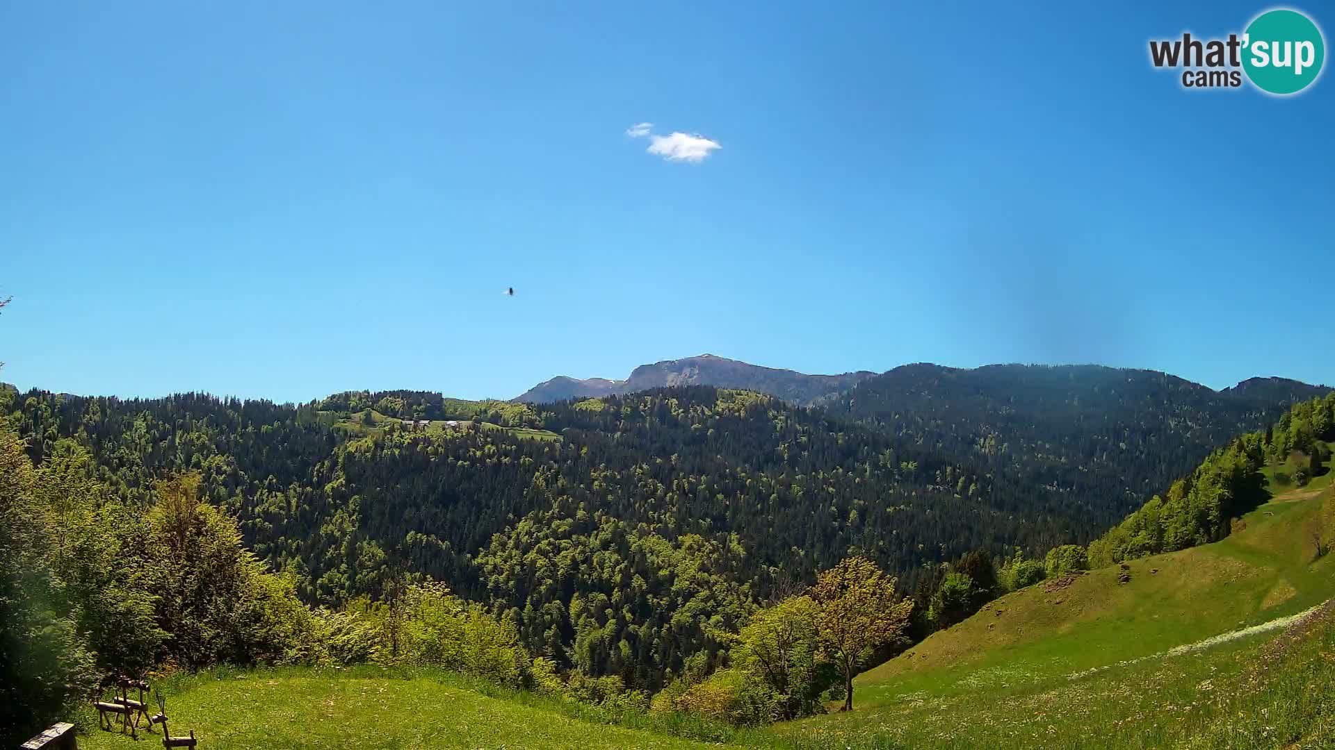 Webcam Brunarica Dražgoše – Live View of Ratitovec (1666 m)