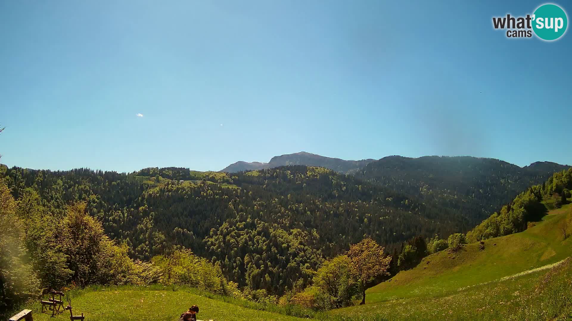 Webcam Brunarica Dražgoše – Live View of Ratitovec (1666 m)