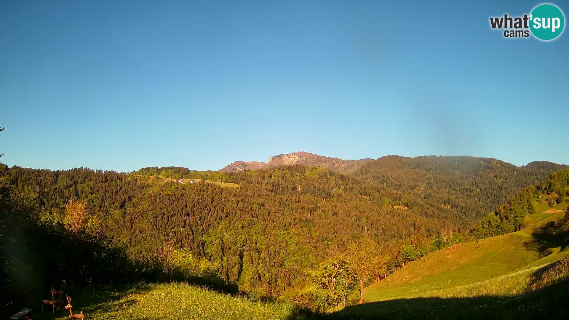 Webcam Brunarica Dražgoše – Live View of Ratitovec (1666 m)